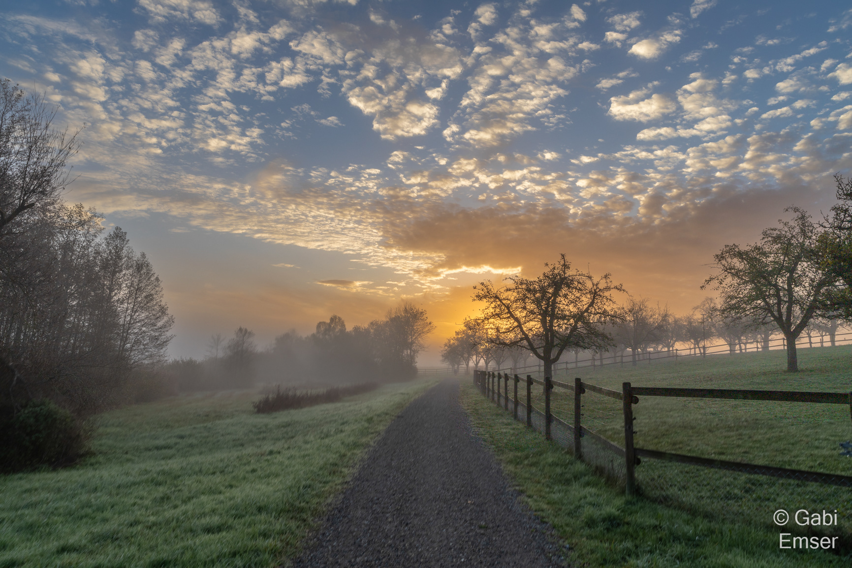 Morgenstimmung Bommer Weiher (CH)