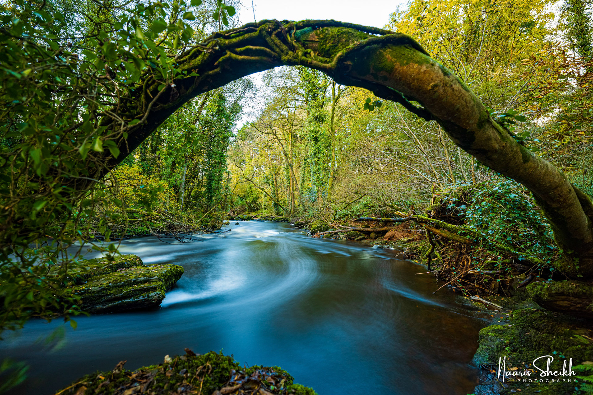 Clare Glens, Co Limerick