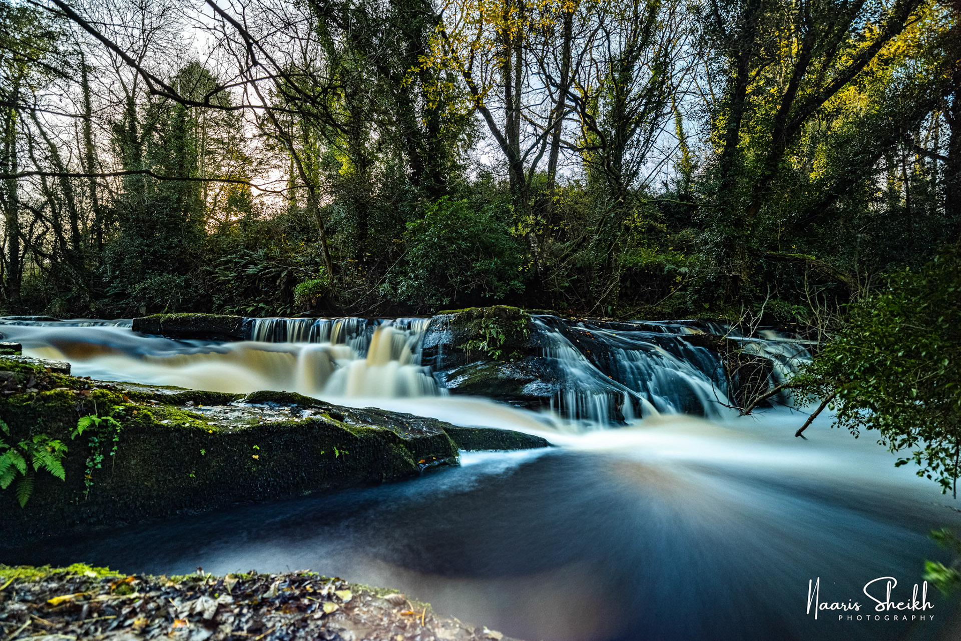 Clare Glens, Co Limerick