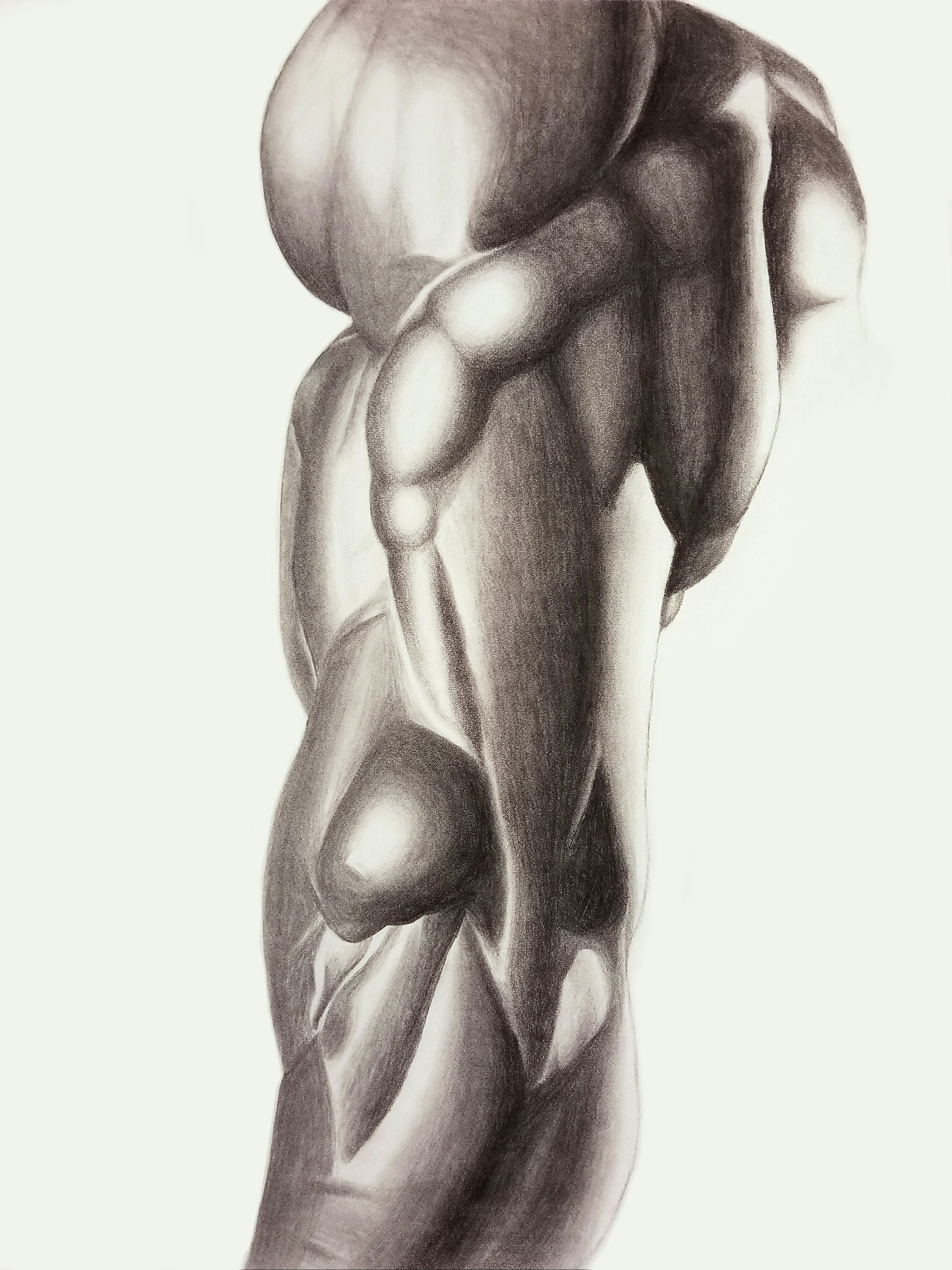 Muscular Arm