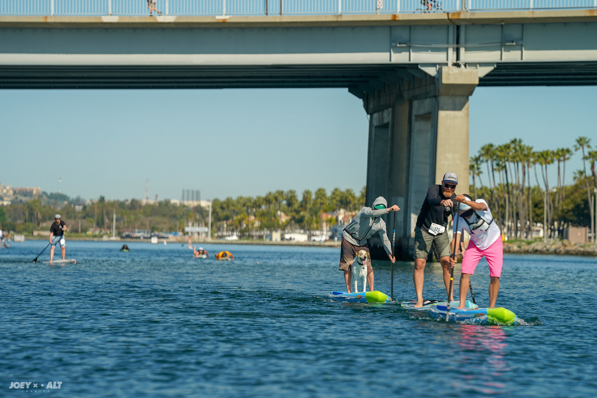 Adler Padler 2019 by Paddle with Purpose. Shot by: Joeyalt.com