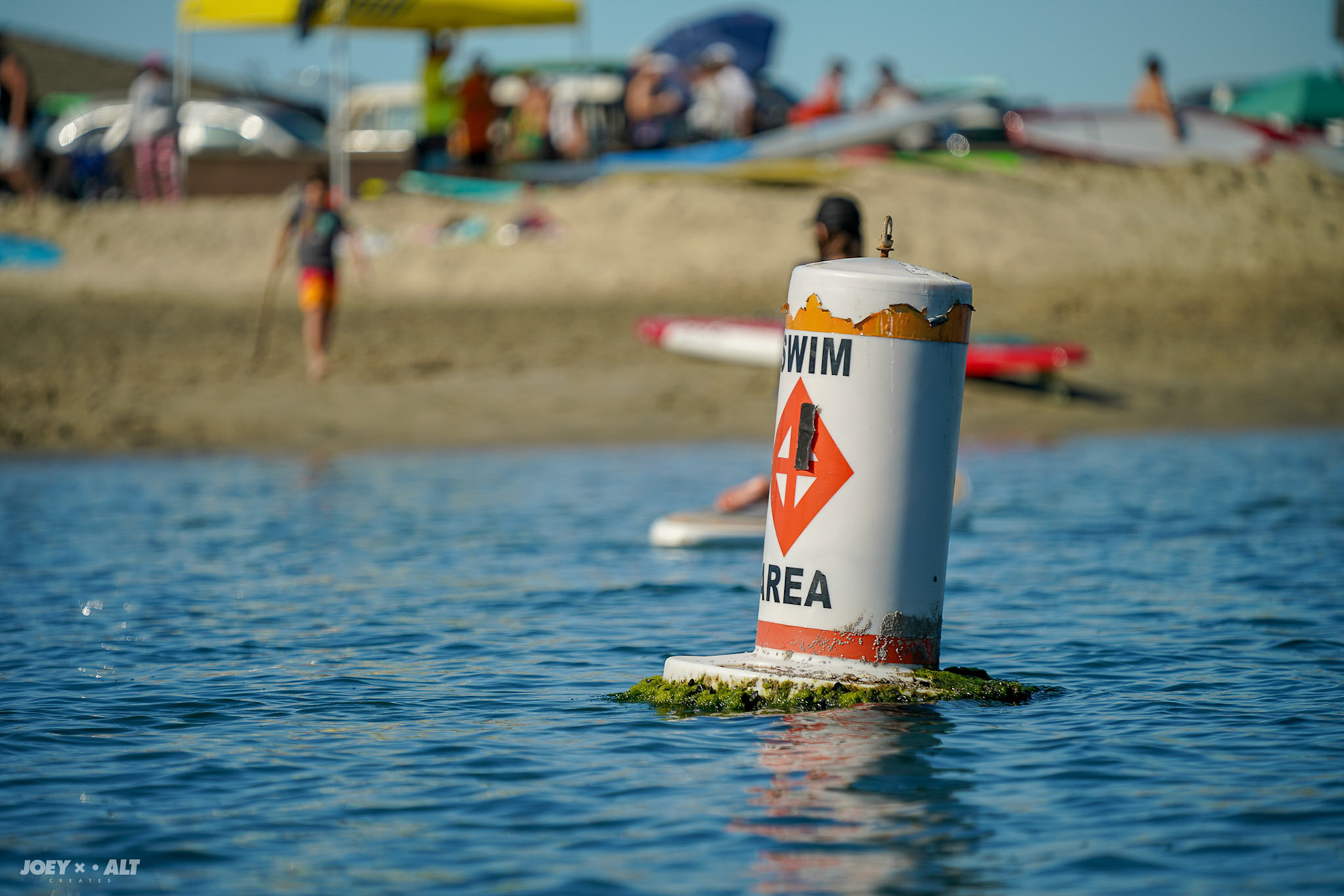 Adler Padler 2019 by Paddle with Purpose. Shot by: Joeyalt.com