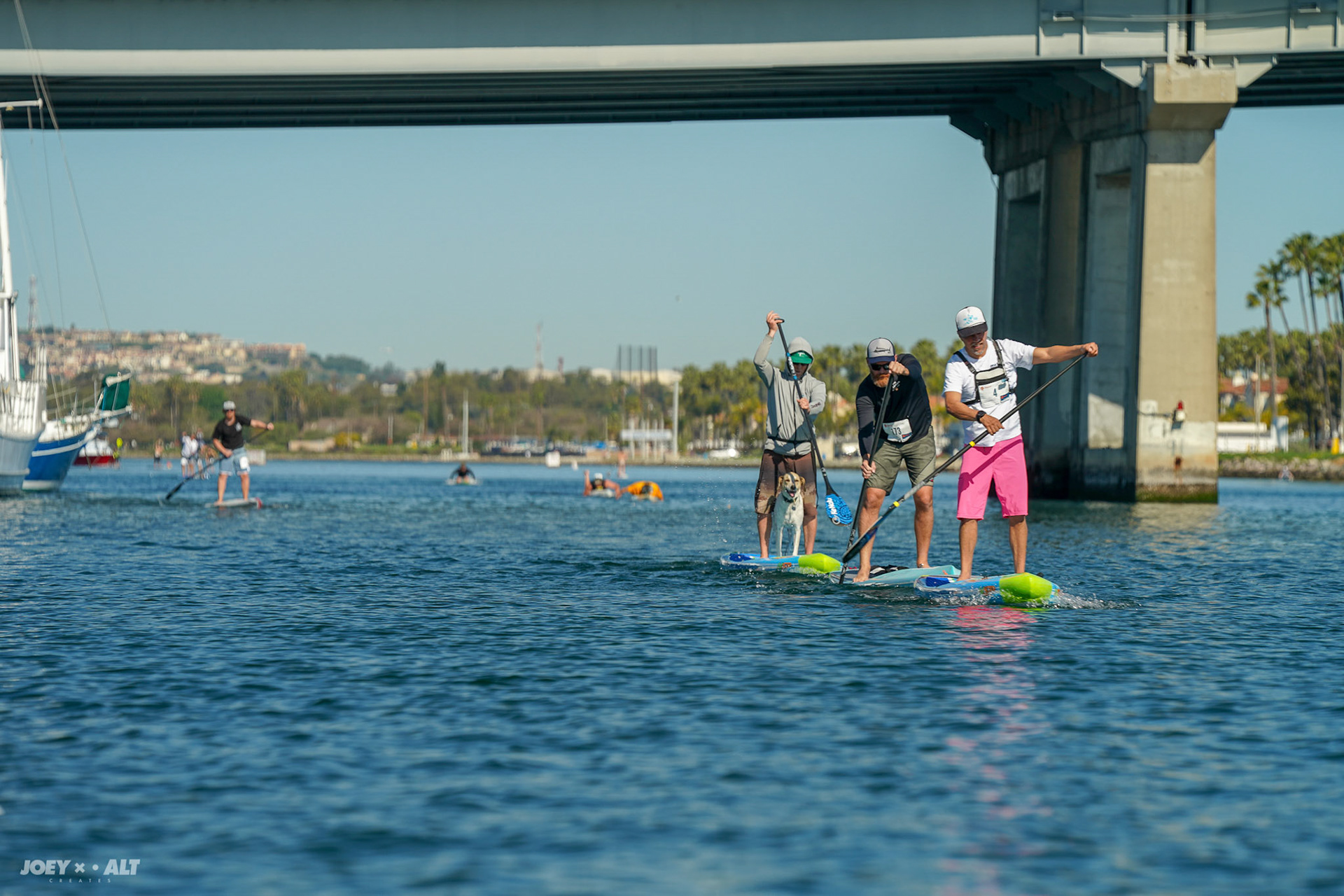 Adler Padler 2019 by Paddle with Purpose. Shot by: Joeyalt.com