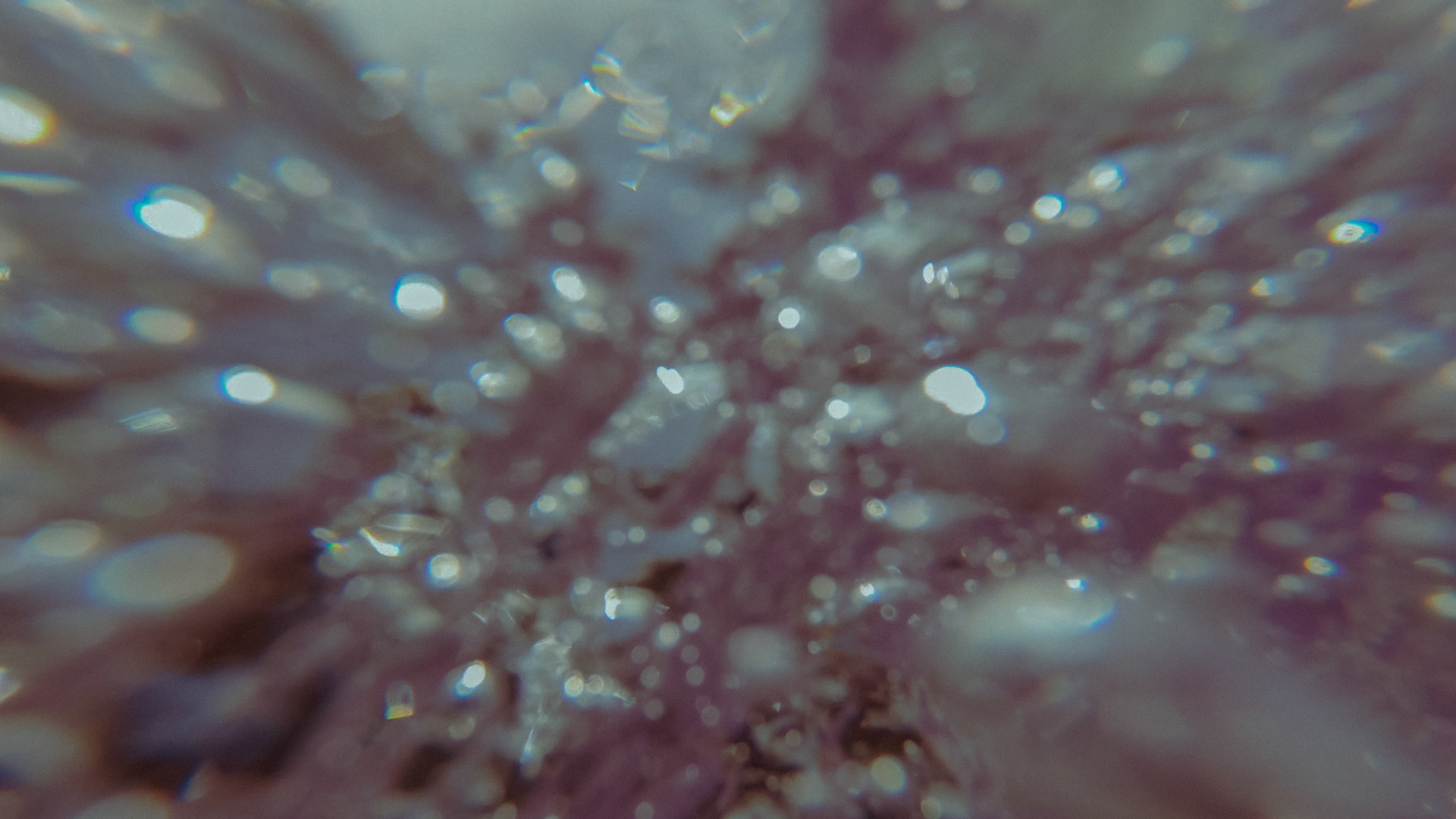 North Side Riders GoPro