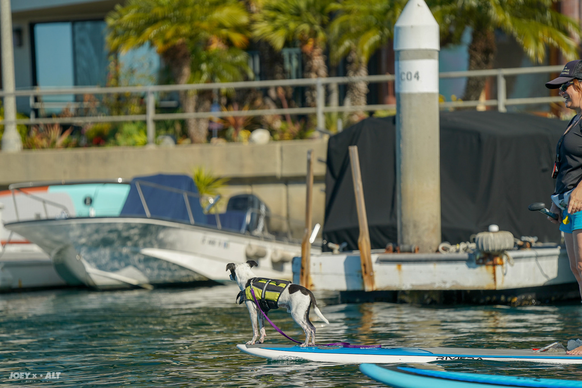 Adler Padler 2019 by Paddle with Purpose. Shot by: Joeyalt.com