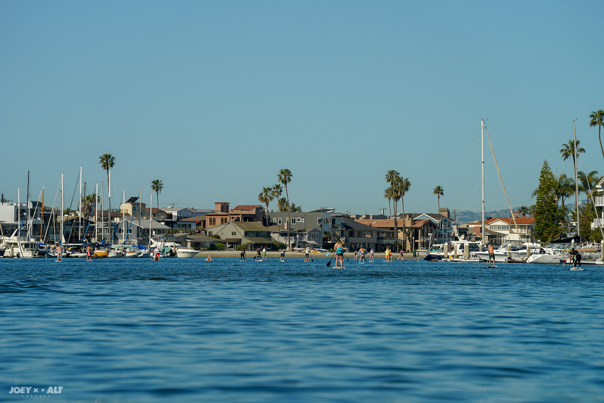 Adler Padler 2019 by Paddle with Purpose. Shot by: Joeyalt.com