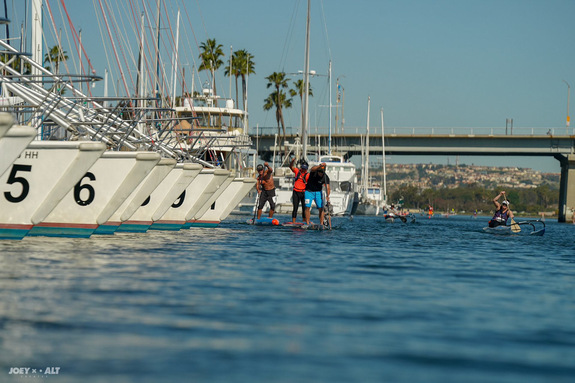 Adler Padler 2019 by Paddle with Purpose. Shot by: Joeyalt.com