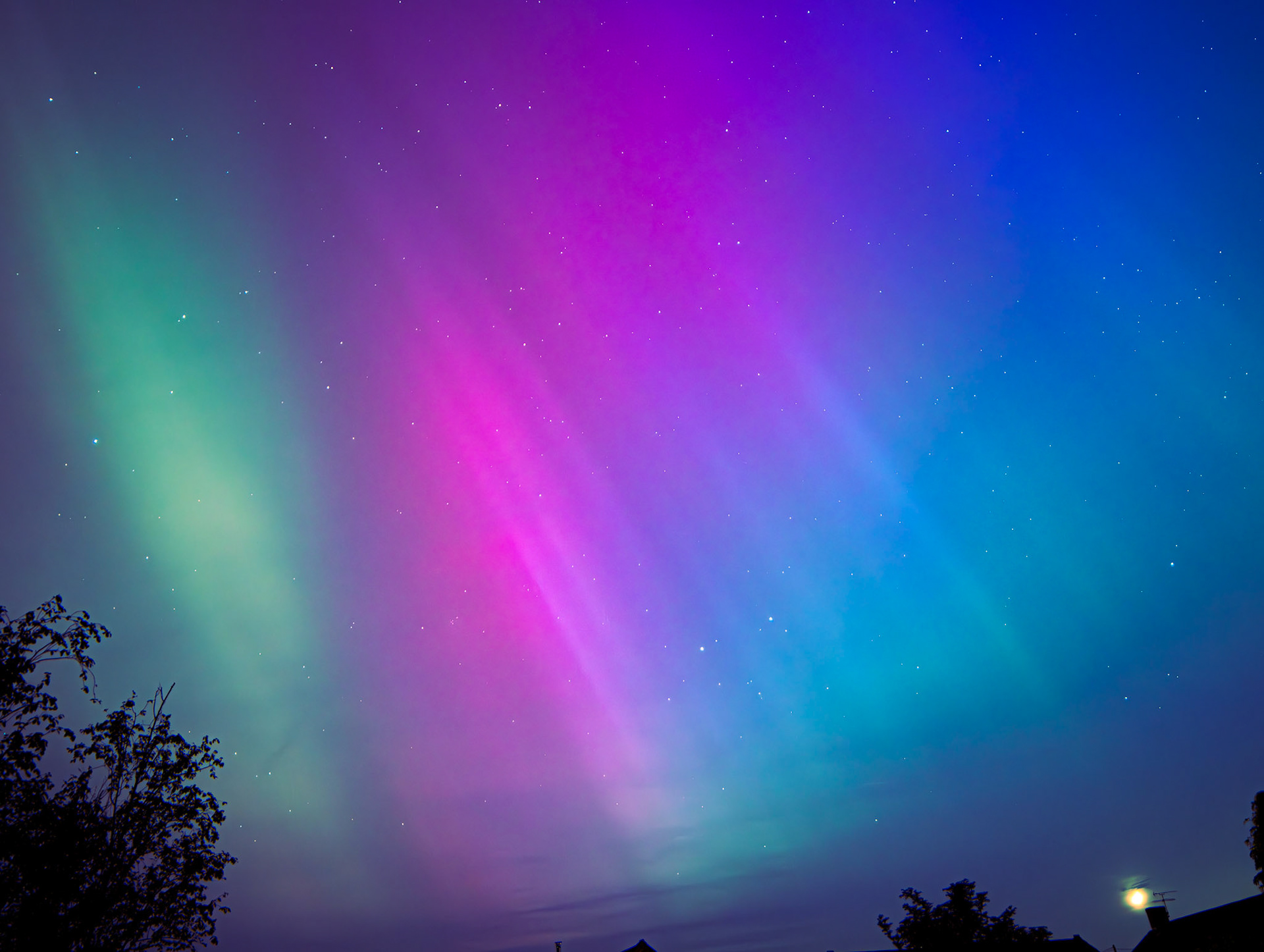 Somerset, UK - May 2024