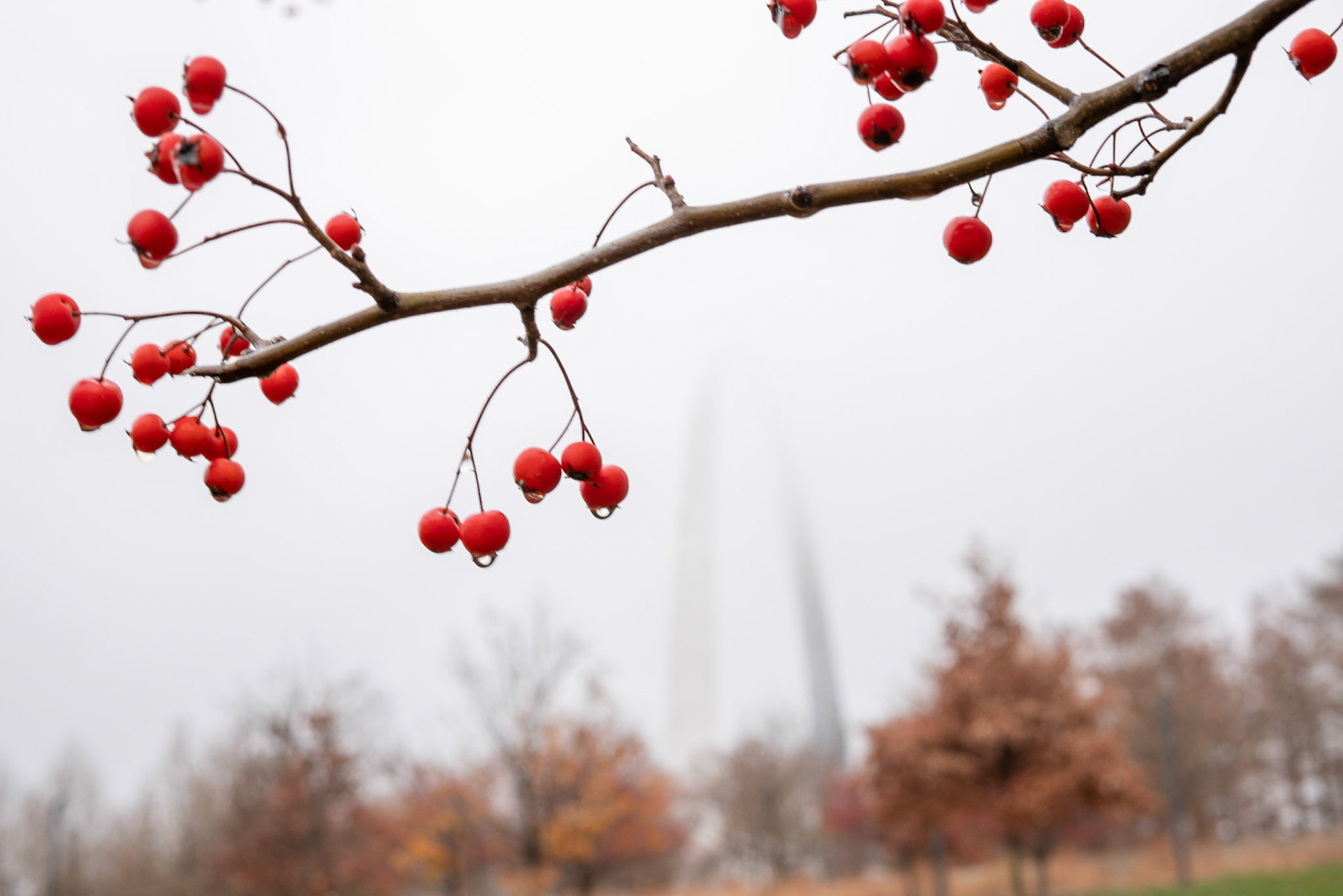 Gateway Arch National Park, St Louis MO - by Alison Northway 2021