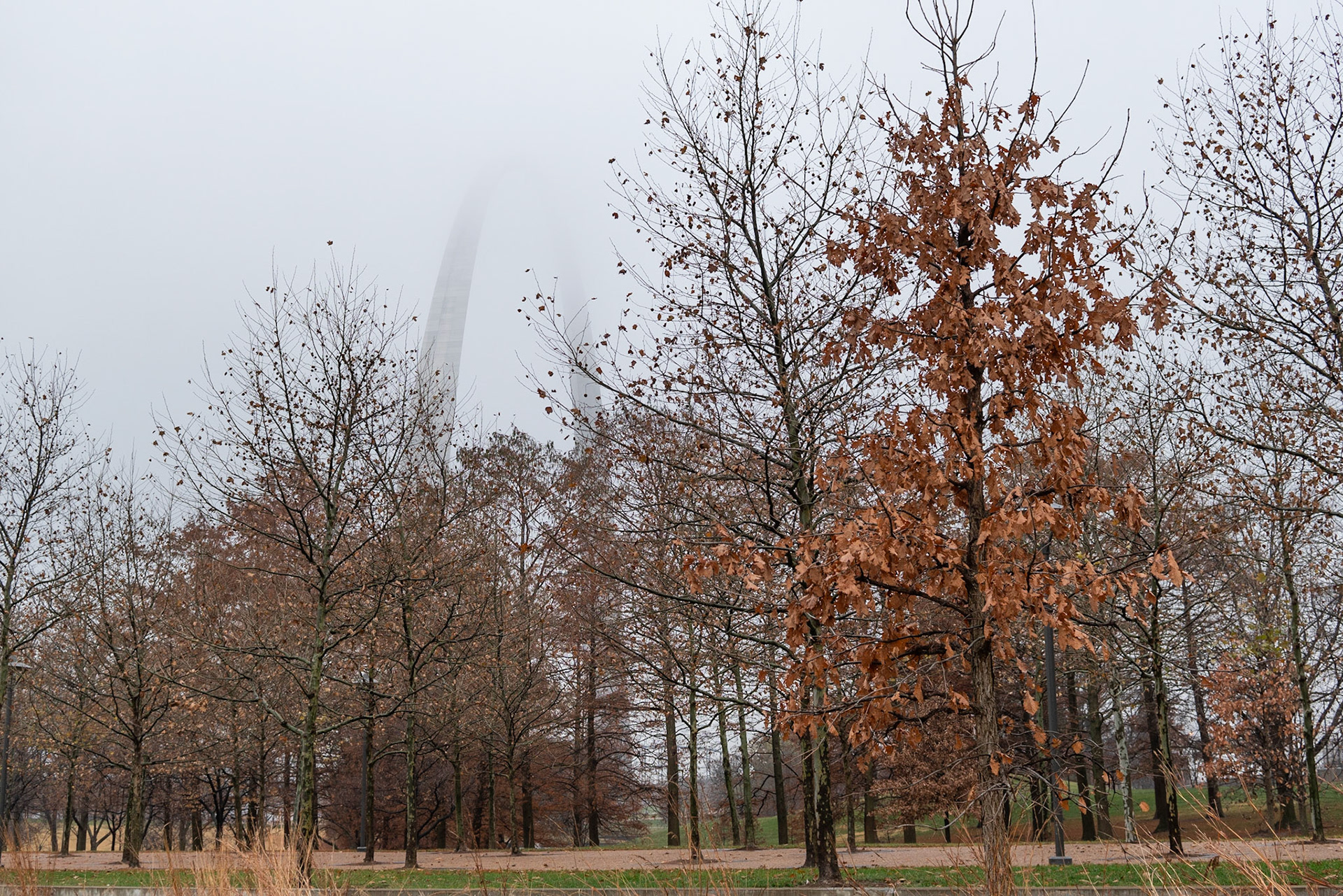 Gateway Arch National Park, St Louis MO - by Alison Northway 2021