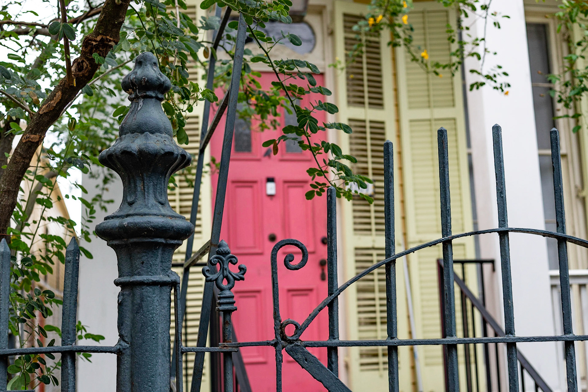 Garden District, New Orleans Louisiana - by Alison Northway - January 2022