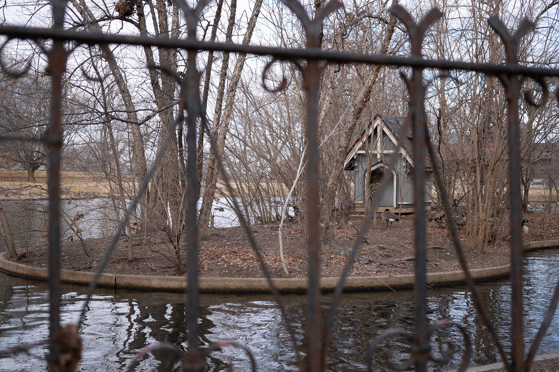 Lafayette Park, St Louis - Alison Northway 2021