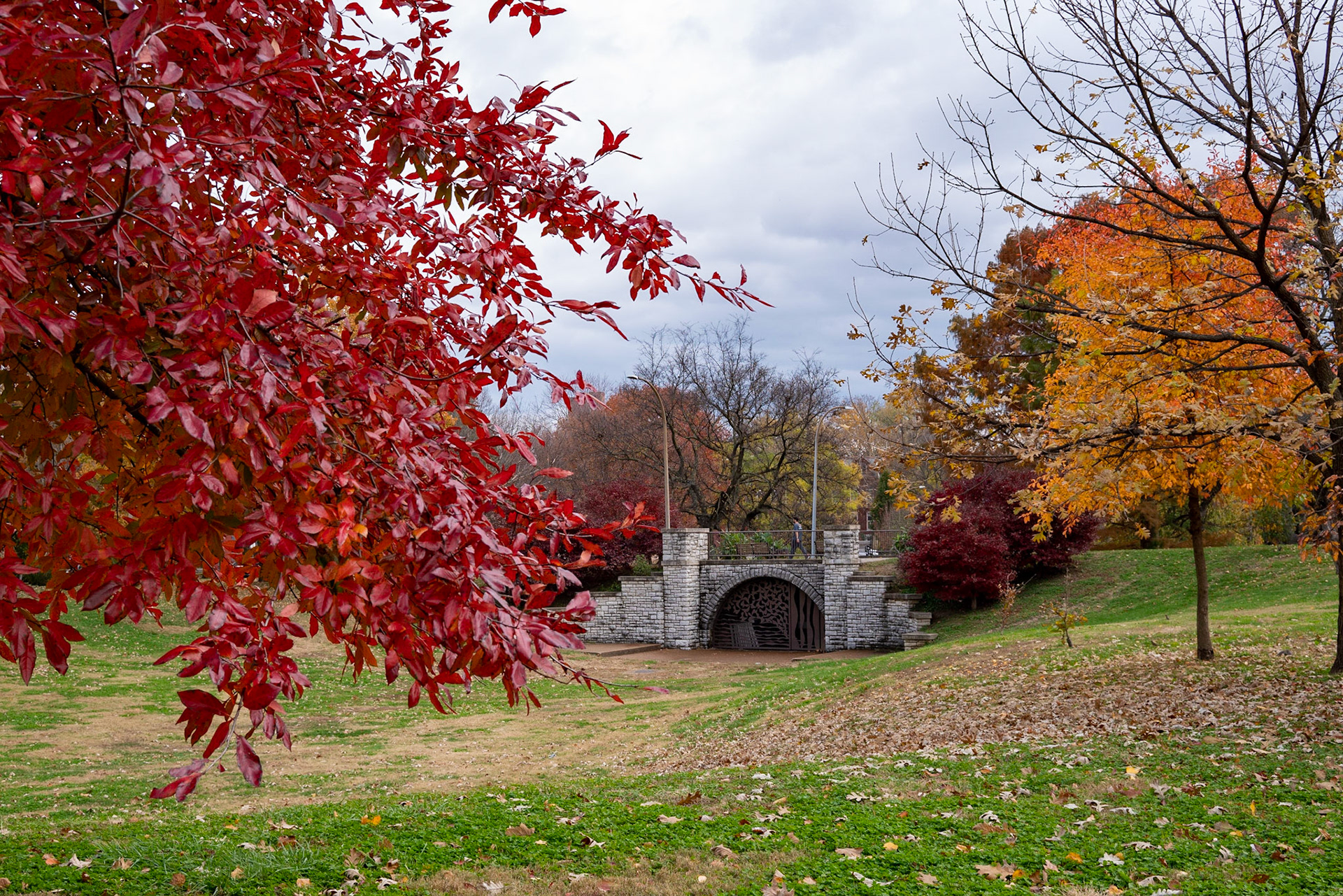 Benton Park, St Louis MO- by Alison Northway - 2021