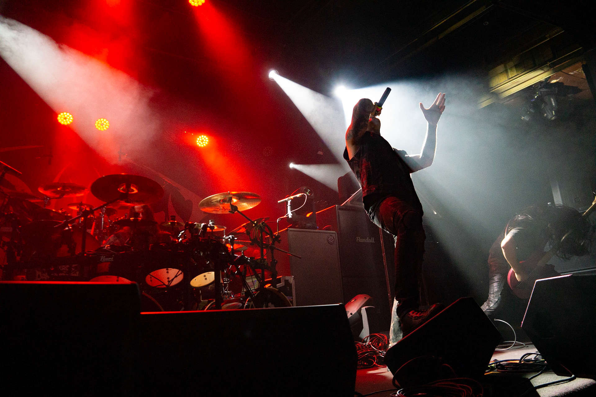 Carnifex