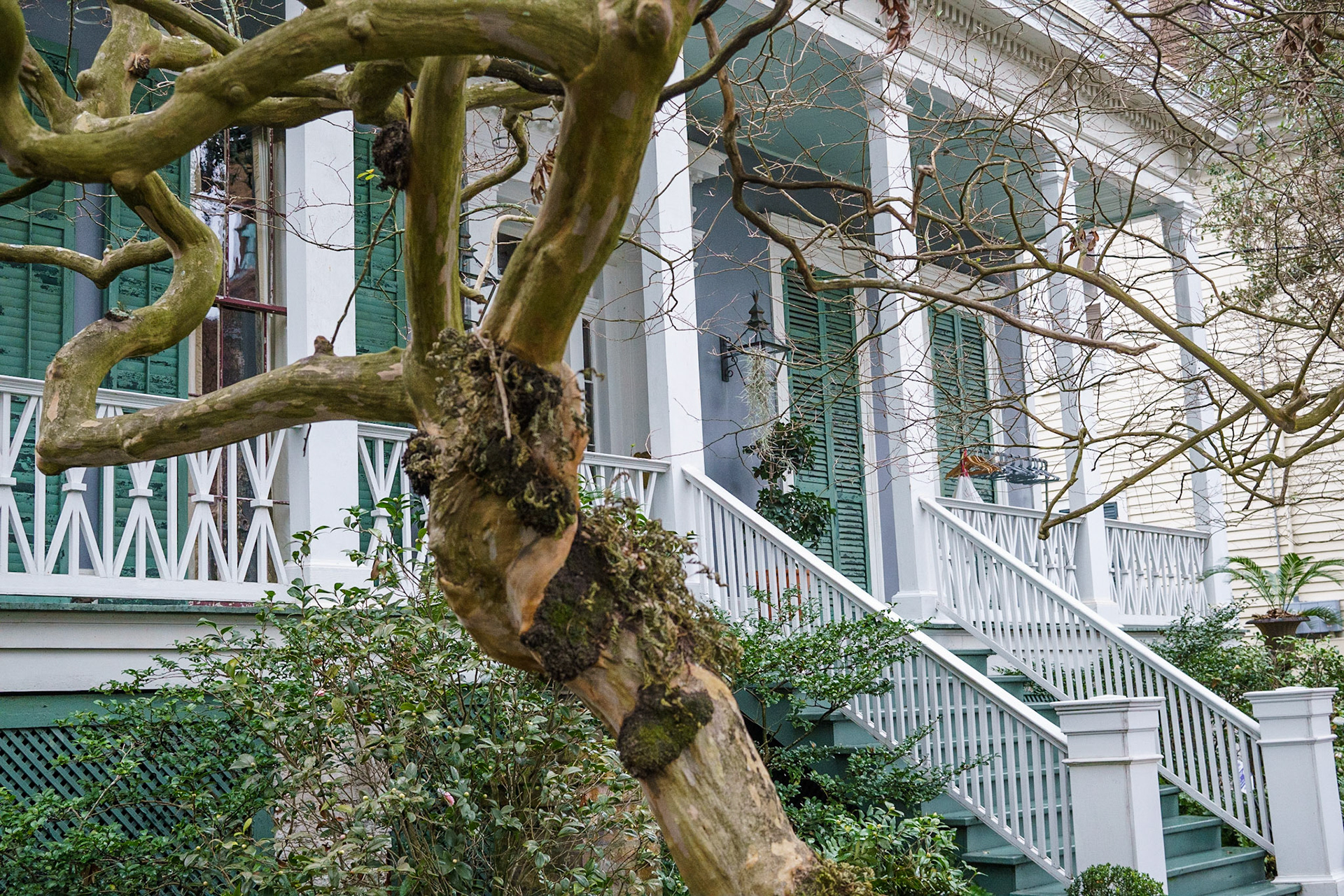 Garden District, New Orleans Louisiana - by Alison Northway - January 2022