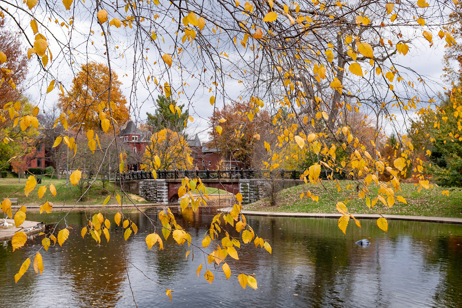 Benton Park, St Louis MO- by Alison Northway - 2021