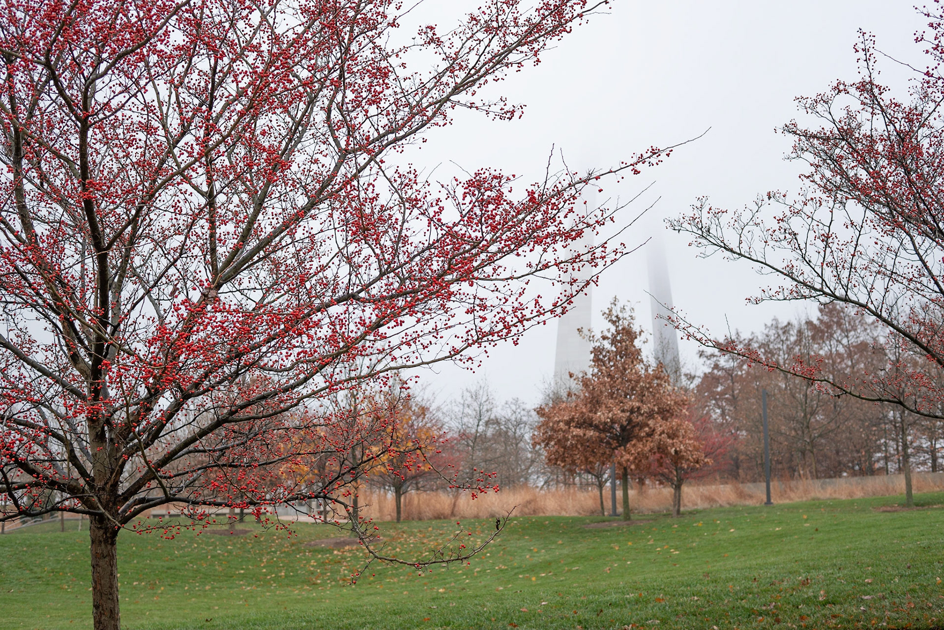 Gateway Arch National Park, St Louis MO - by Alison Northway 2021