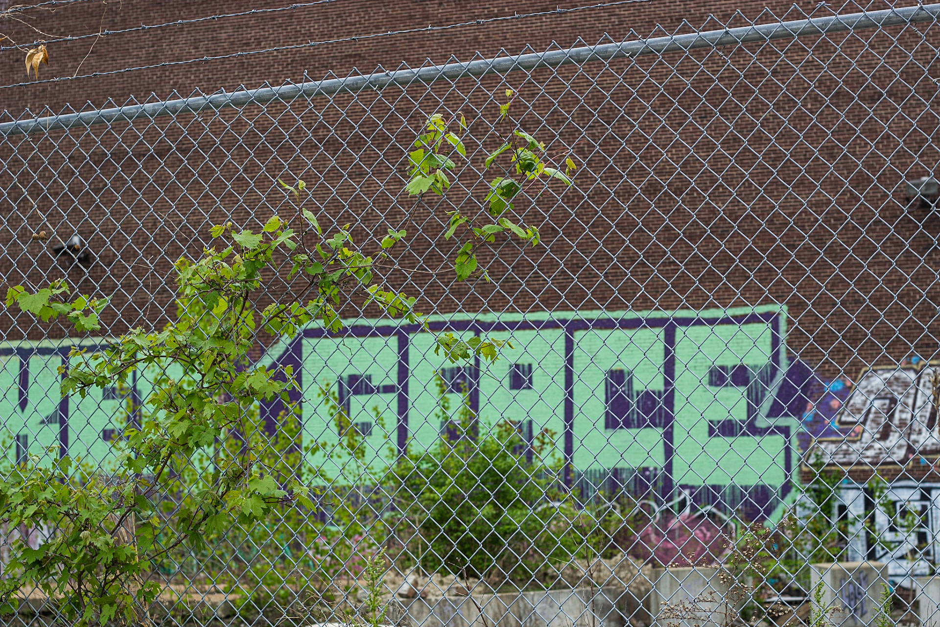 Soulard, St Louis MO - by Alison Northway - 2021