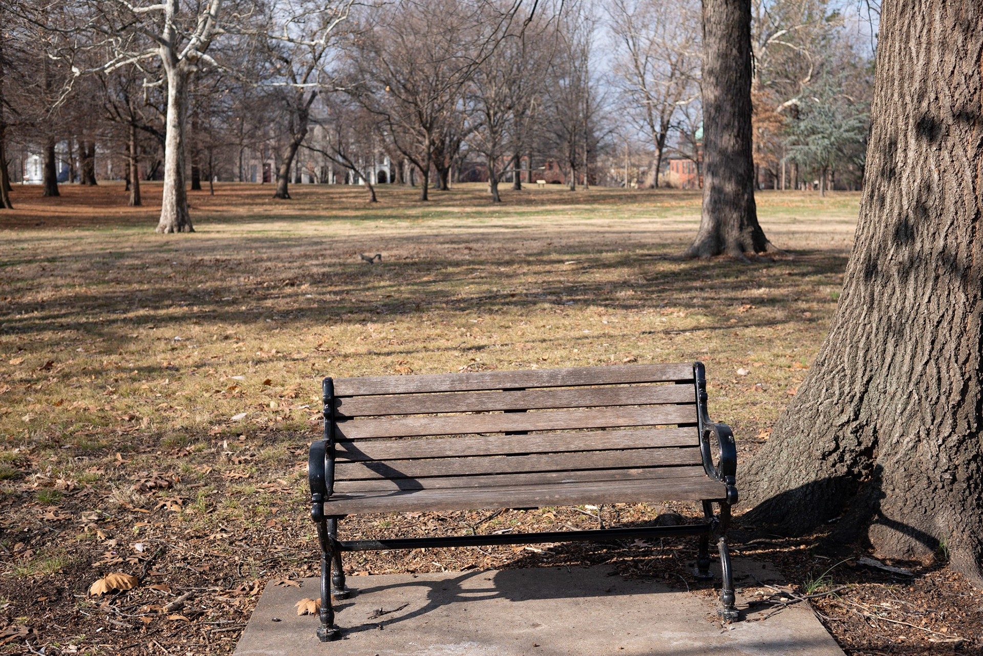 Lafayette Park, St Louis - Alison Northway 2021