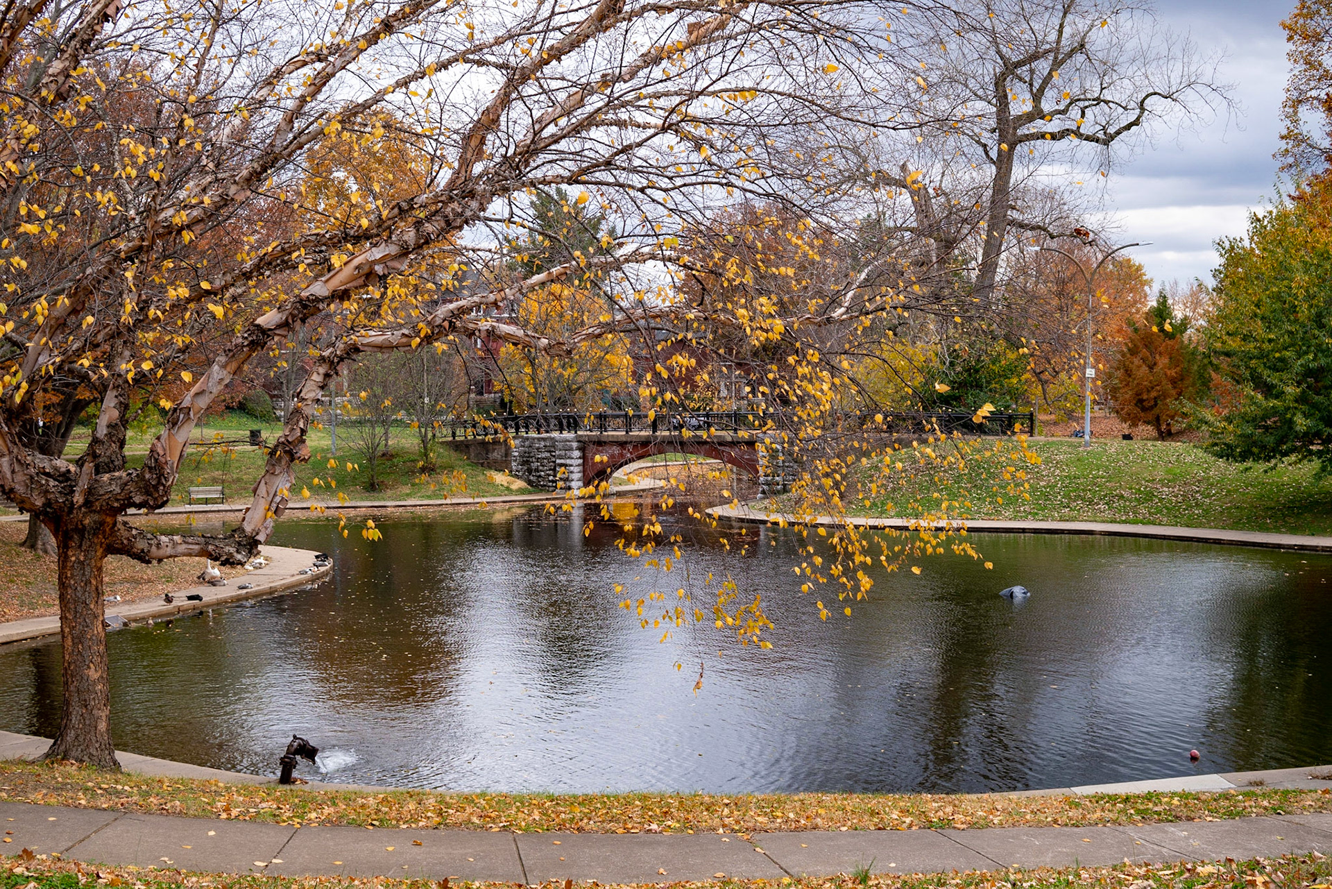 Benton Park, St Louis MO- by Alison Northway - 2021