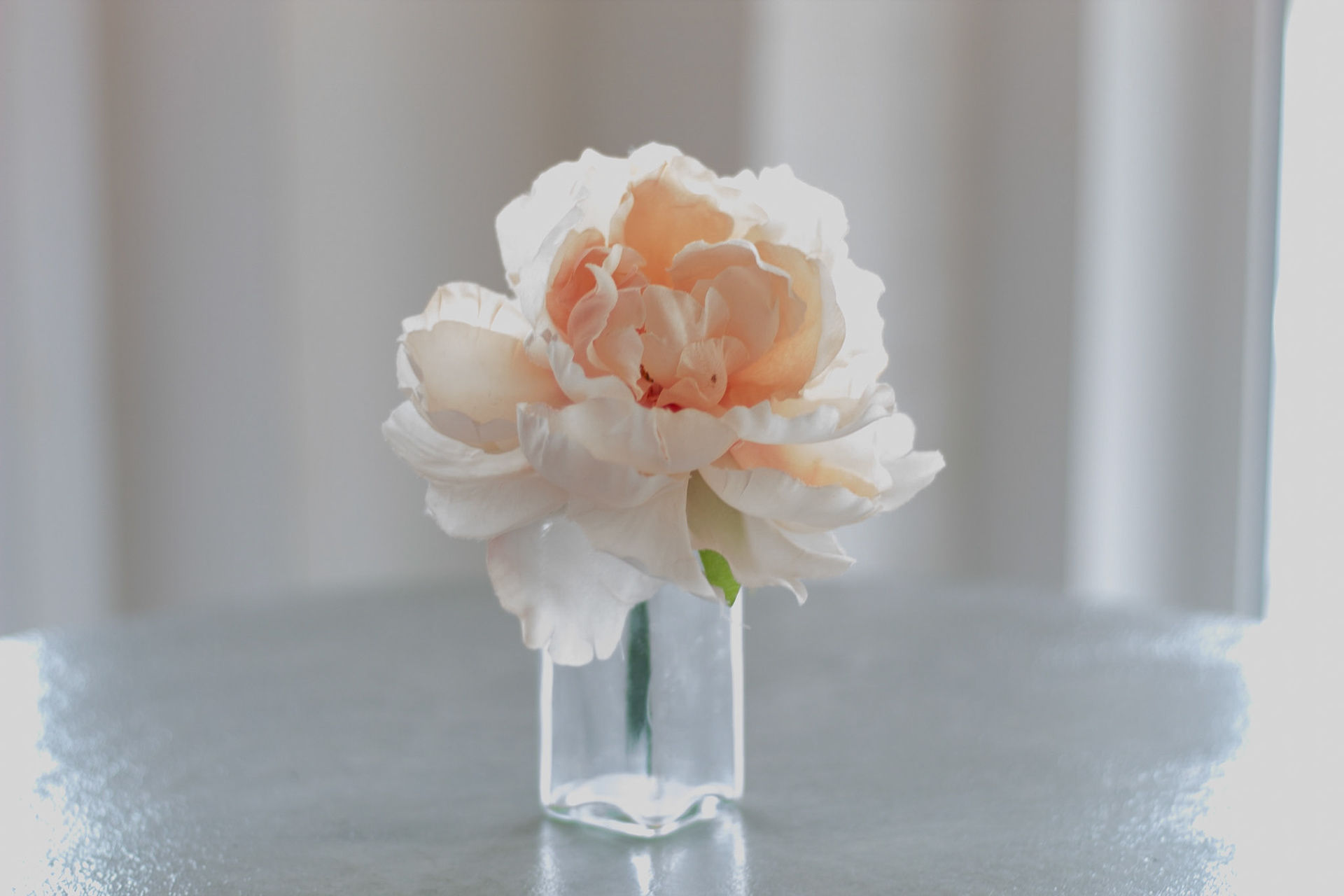 Soulard, St Louis MO - by Alison Northway - 2021