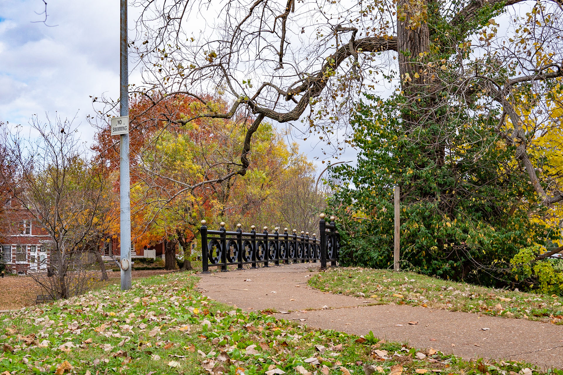 Benton Park, St Louis MO- by Alison Northway - 2021