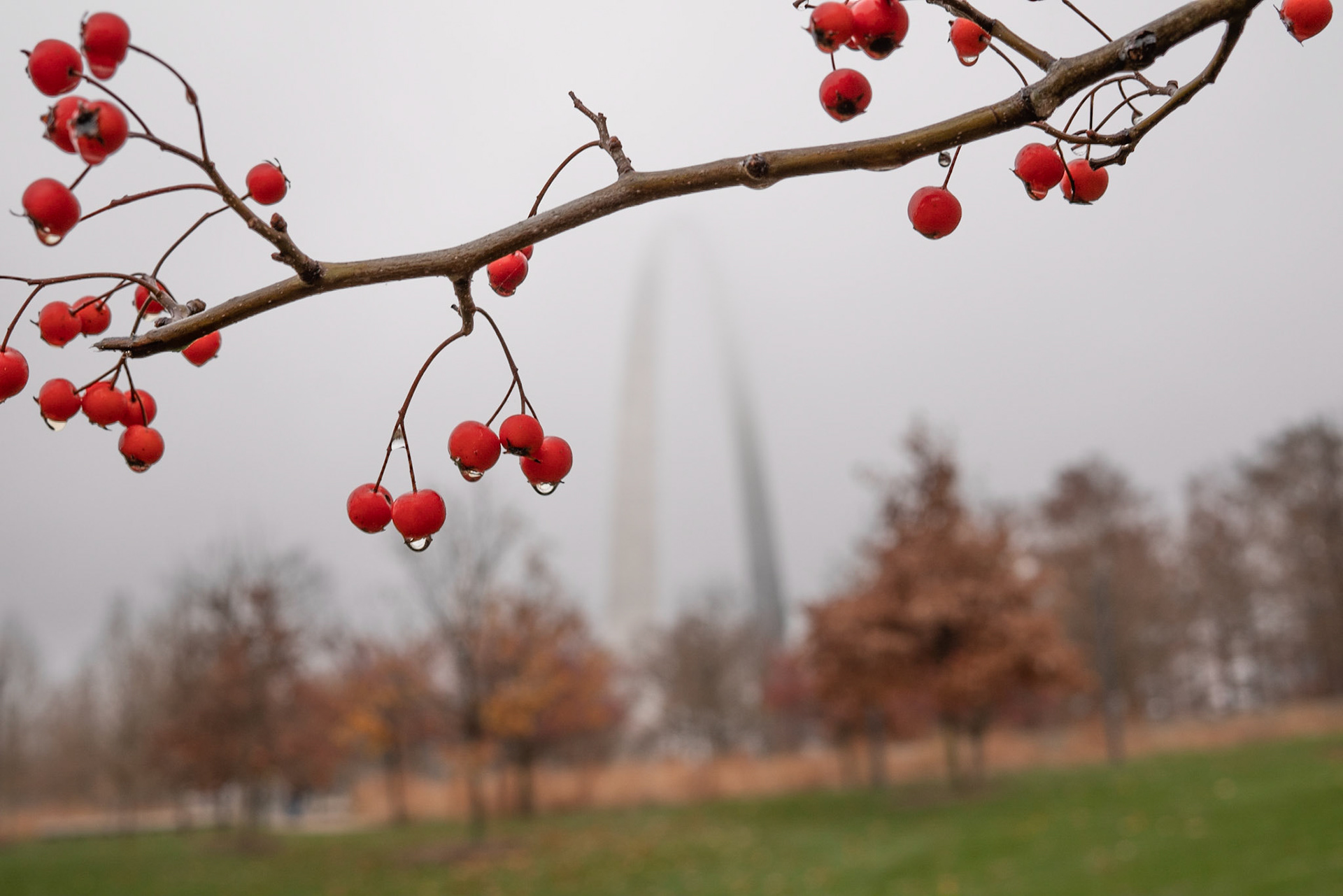 Gateway Arch National Park, St Louis MO - by Alison Northway 2021