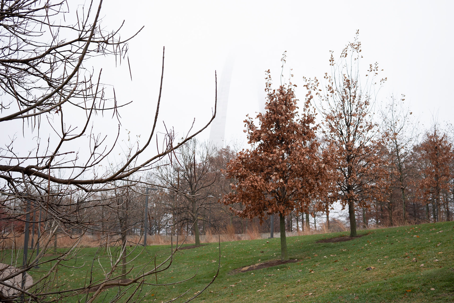 Gateway Arch National Park, St Louis MO - by Alison Northway 2021