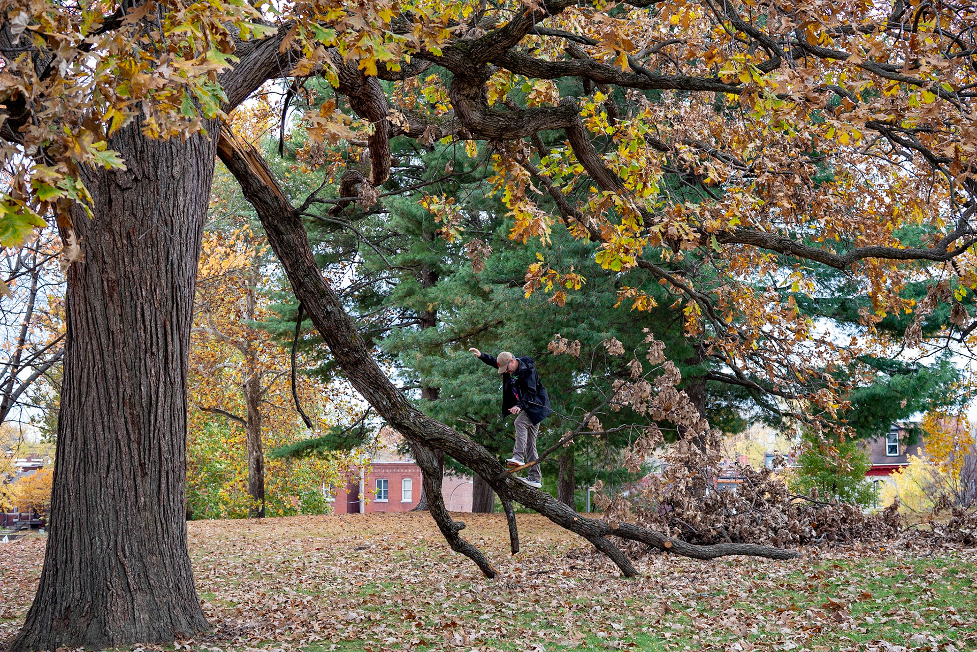Benton Park, St Louis MO- by Alison Northway - 2021