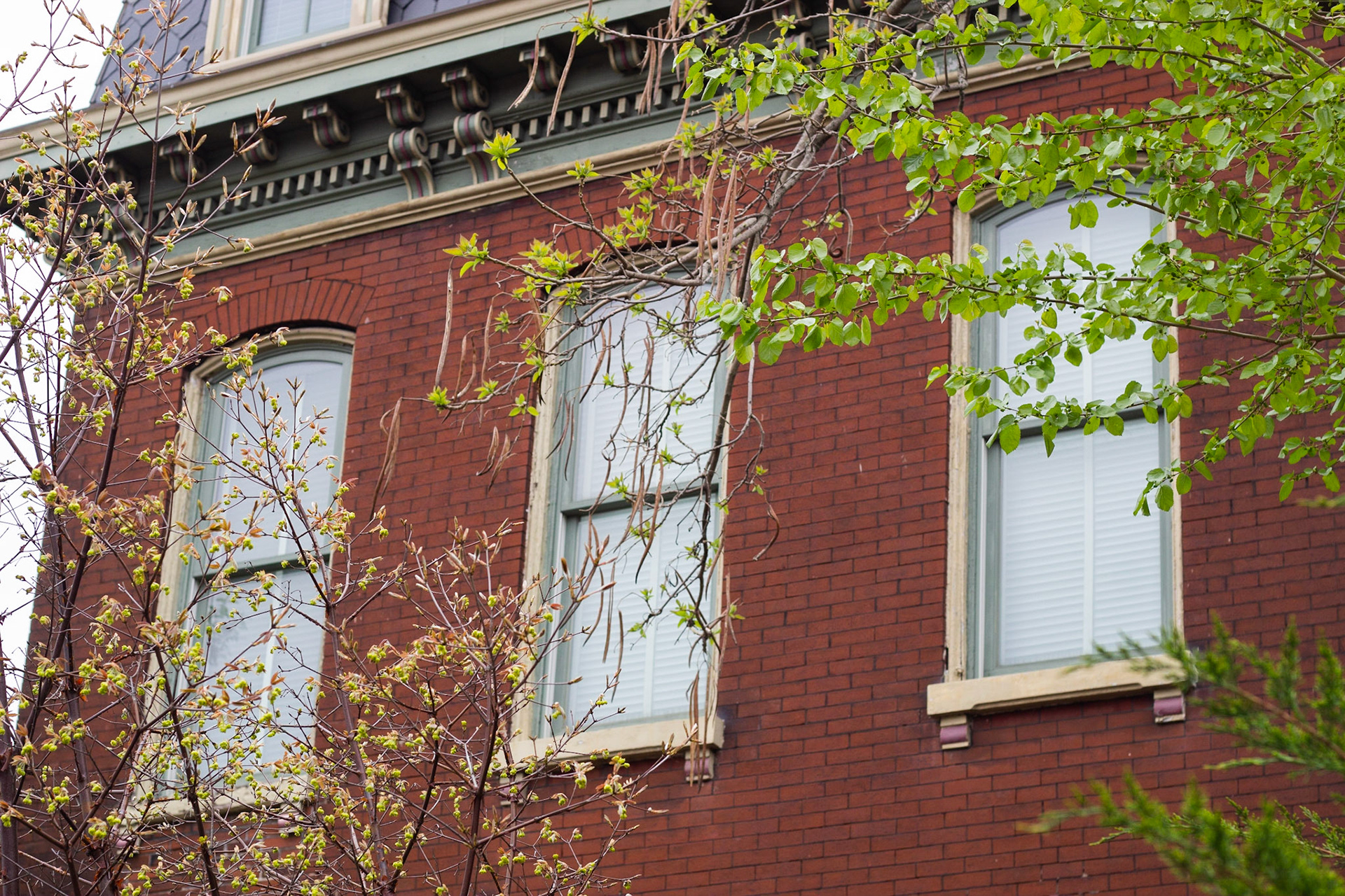 Soulard, St Louis MO - by Alison Northway - 2021