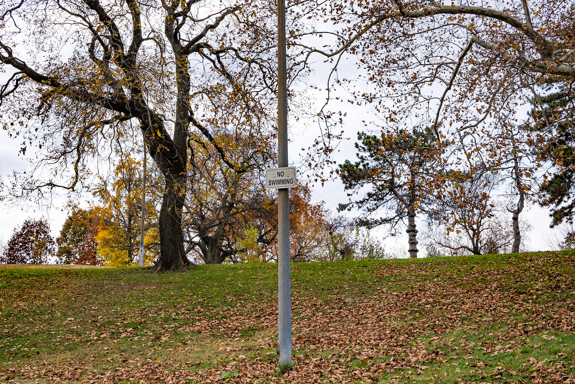 Benton Park, St Louis MO- by Alison Northway - 2021