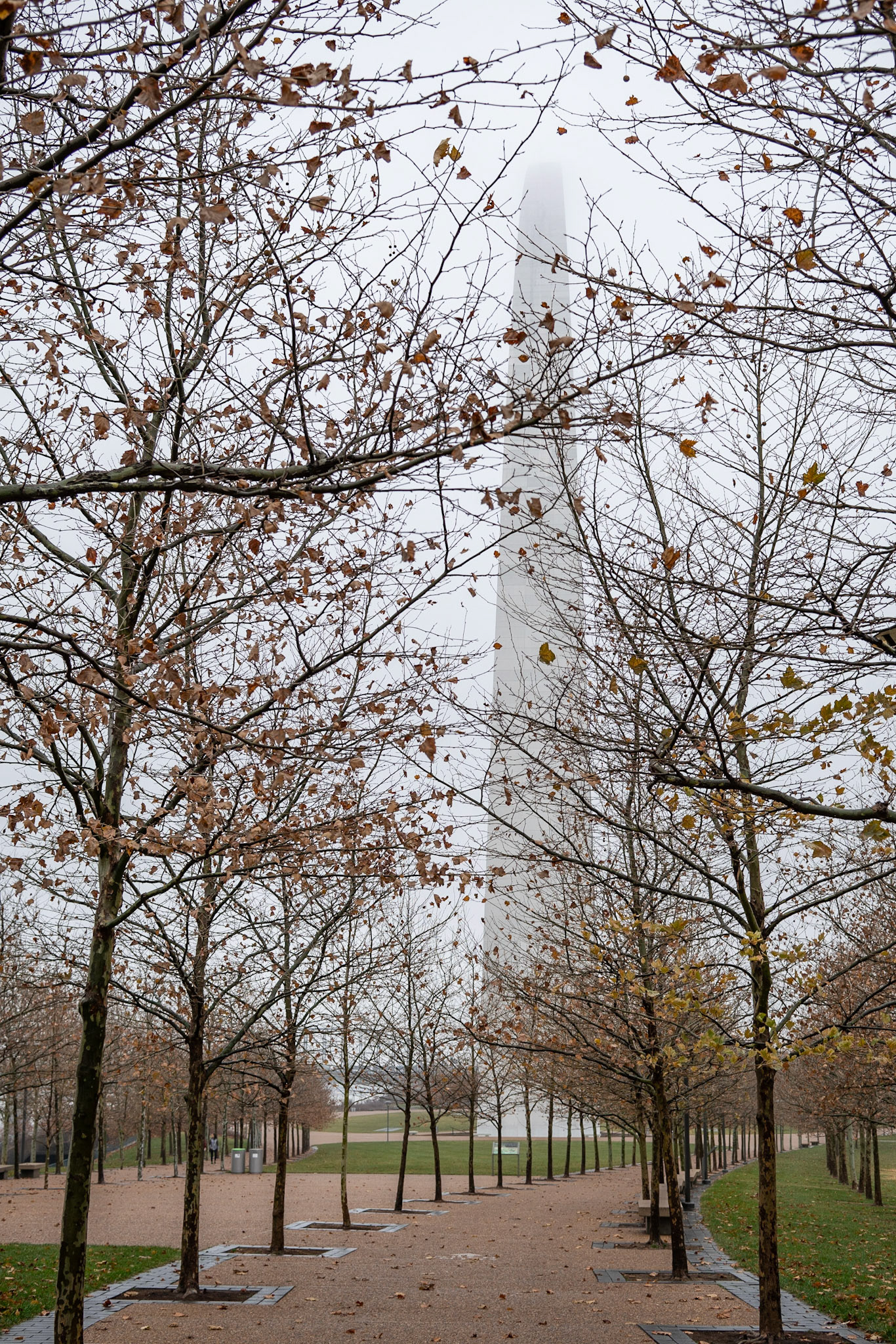 Gateway Arch National Park, St Louis MO - by Alison Northway 2021
