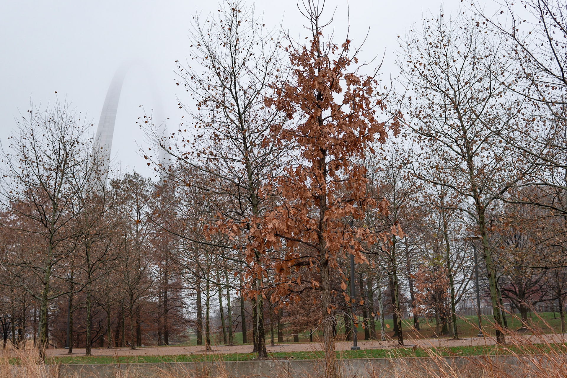 Gateway Arch National Park, St Louis MO - by Alison Northway 2021