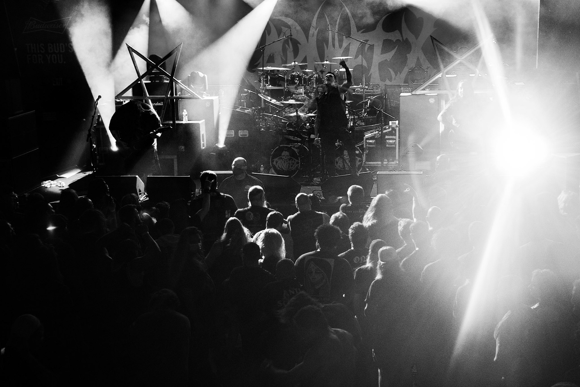 Carnifex