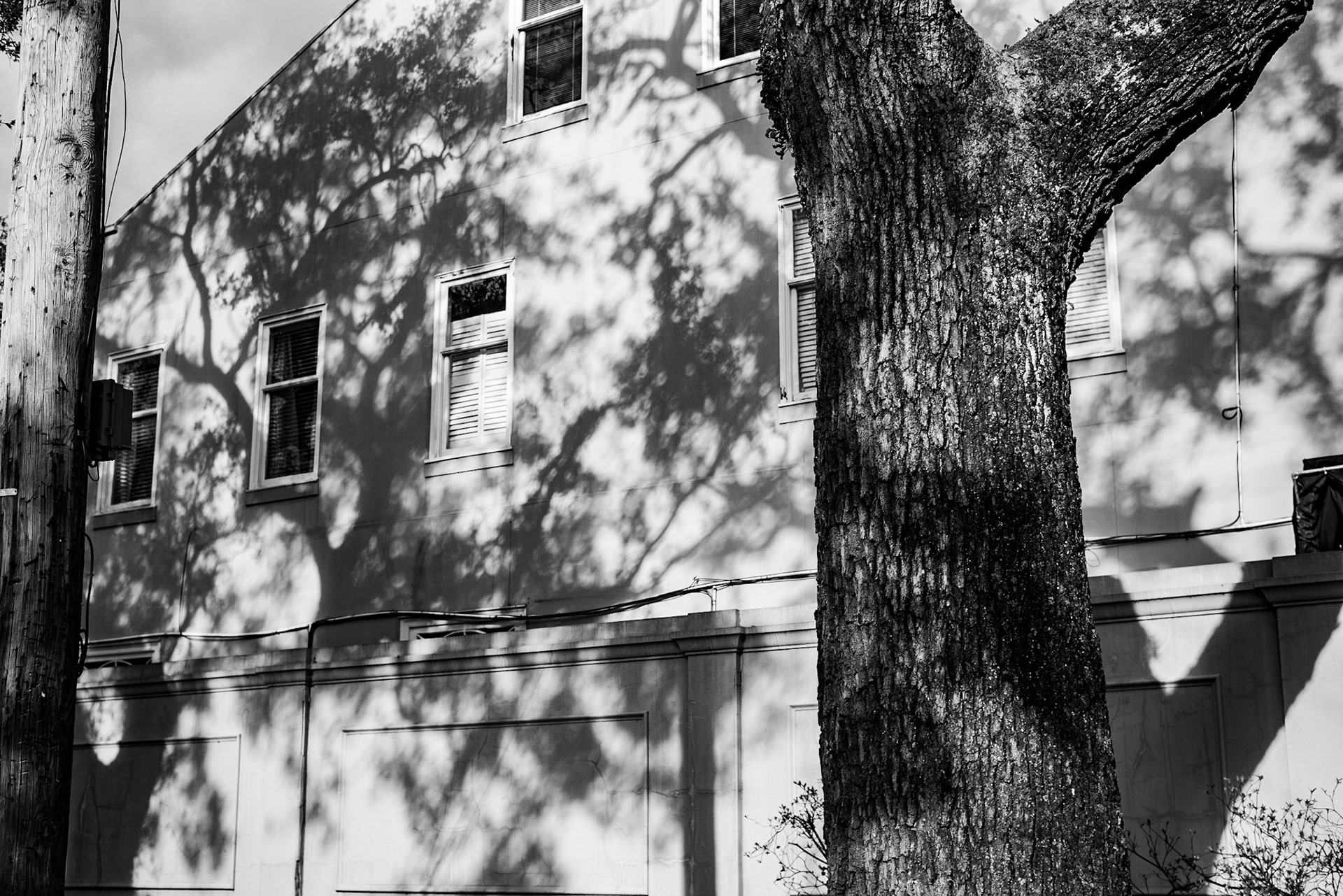 Garden District, New Orleans Louisiana - by Alison Northway - January 2022