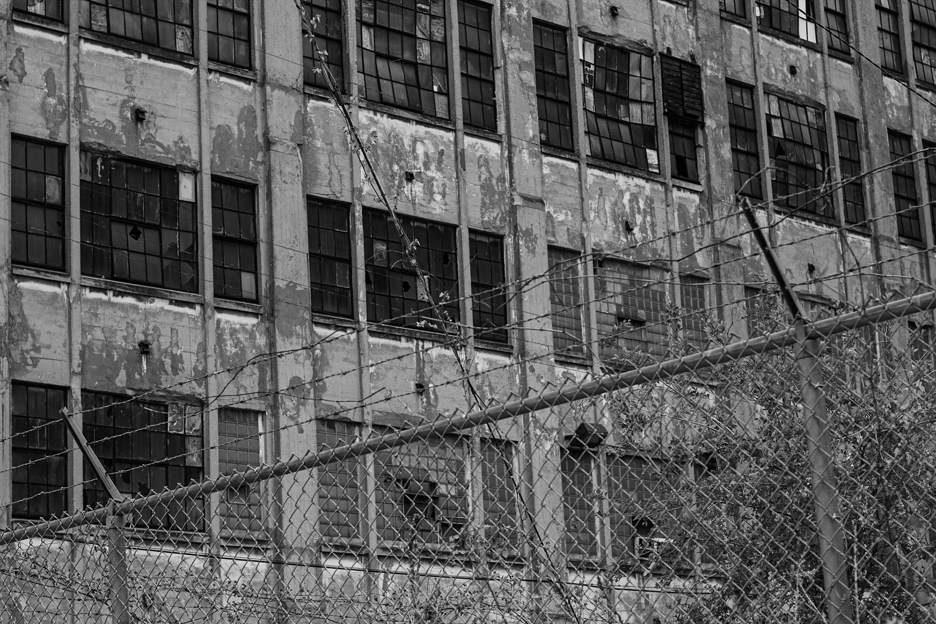 Soulard, St Louis MO - by Alison Northway - 2021