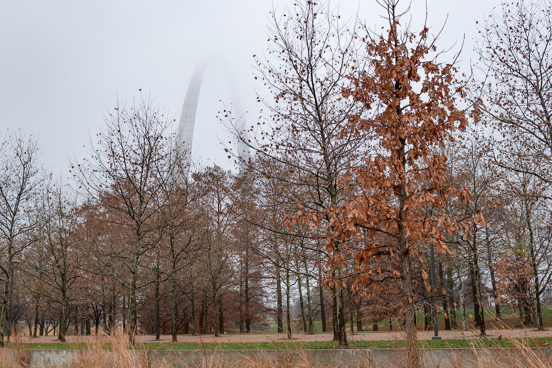 Gateway Arch National Park, St Louis MO - by Alison Northway 2021