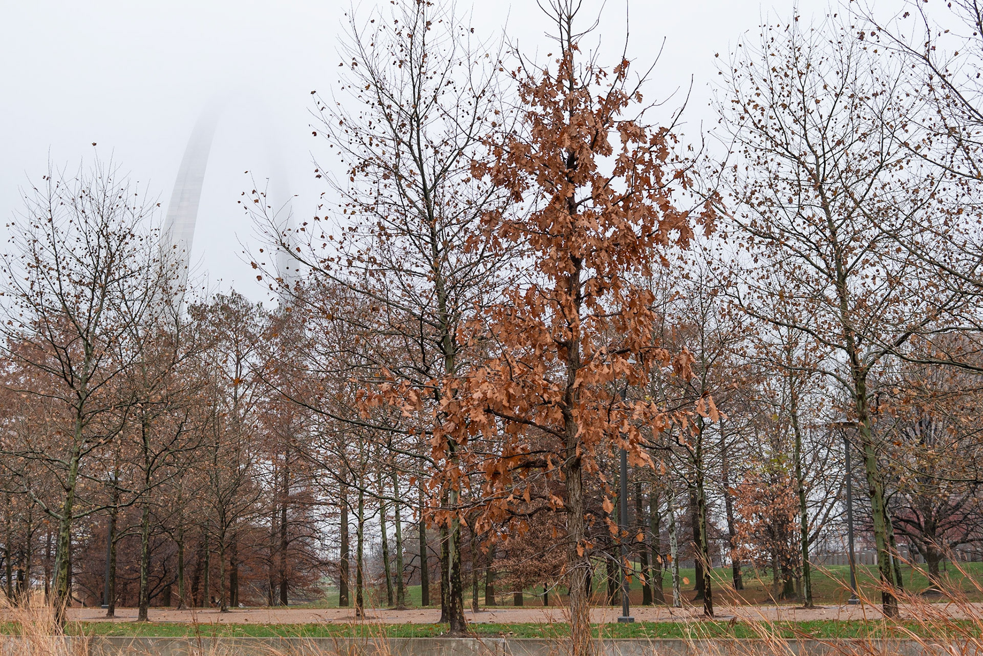 Gateway Arch National Park, St Louis MO - by Alison Northway 2021