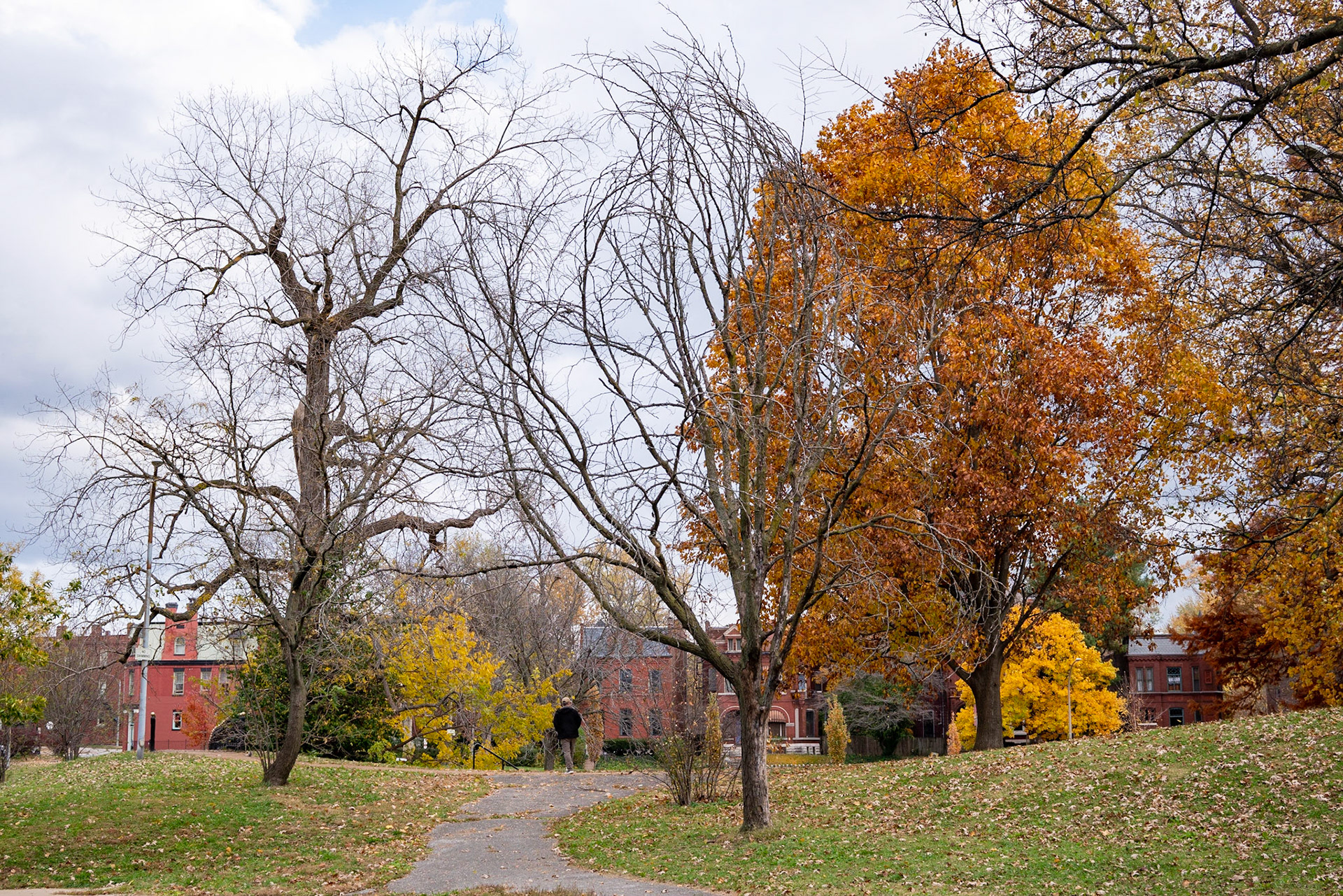 Benton Park, St Louis MO- by Alison Northway - 2021