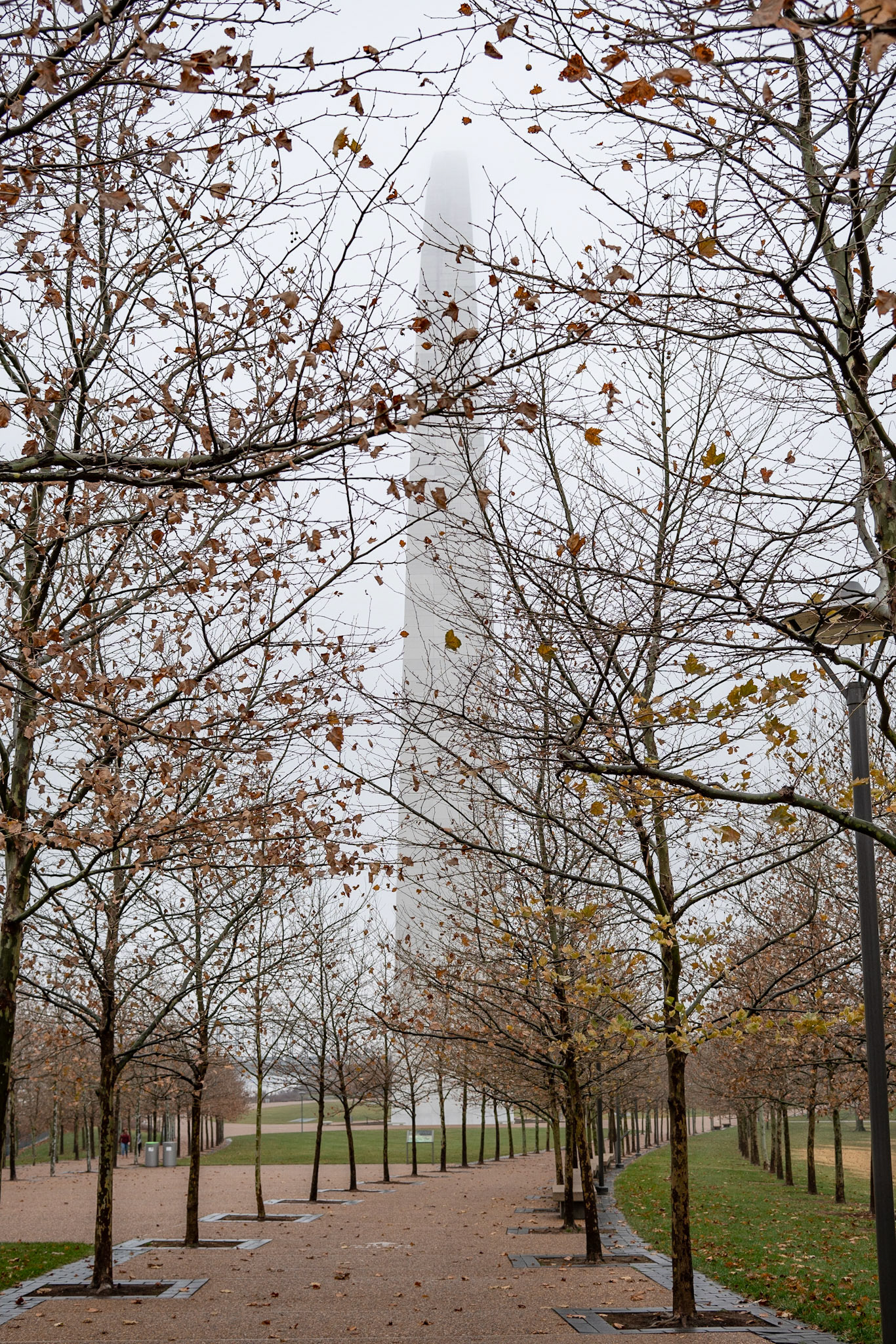 Gateway Arch National Park, St Louis MO - by Alison Northway 2021