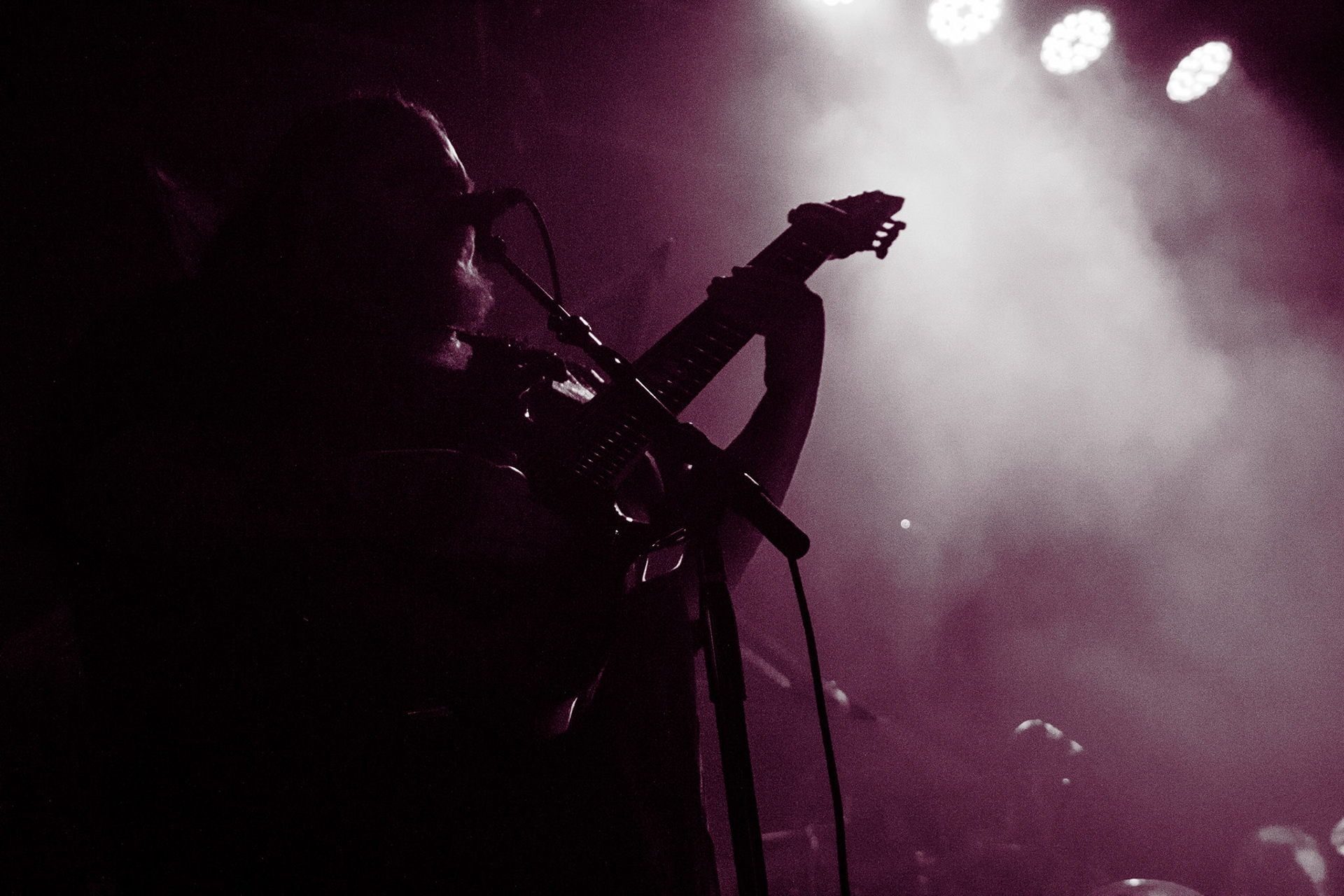 Carnifex