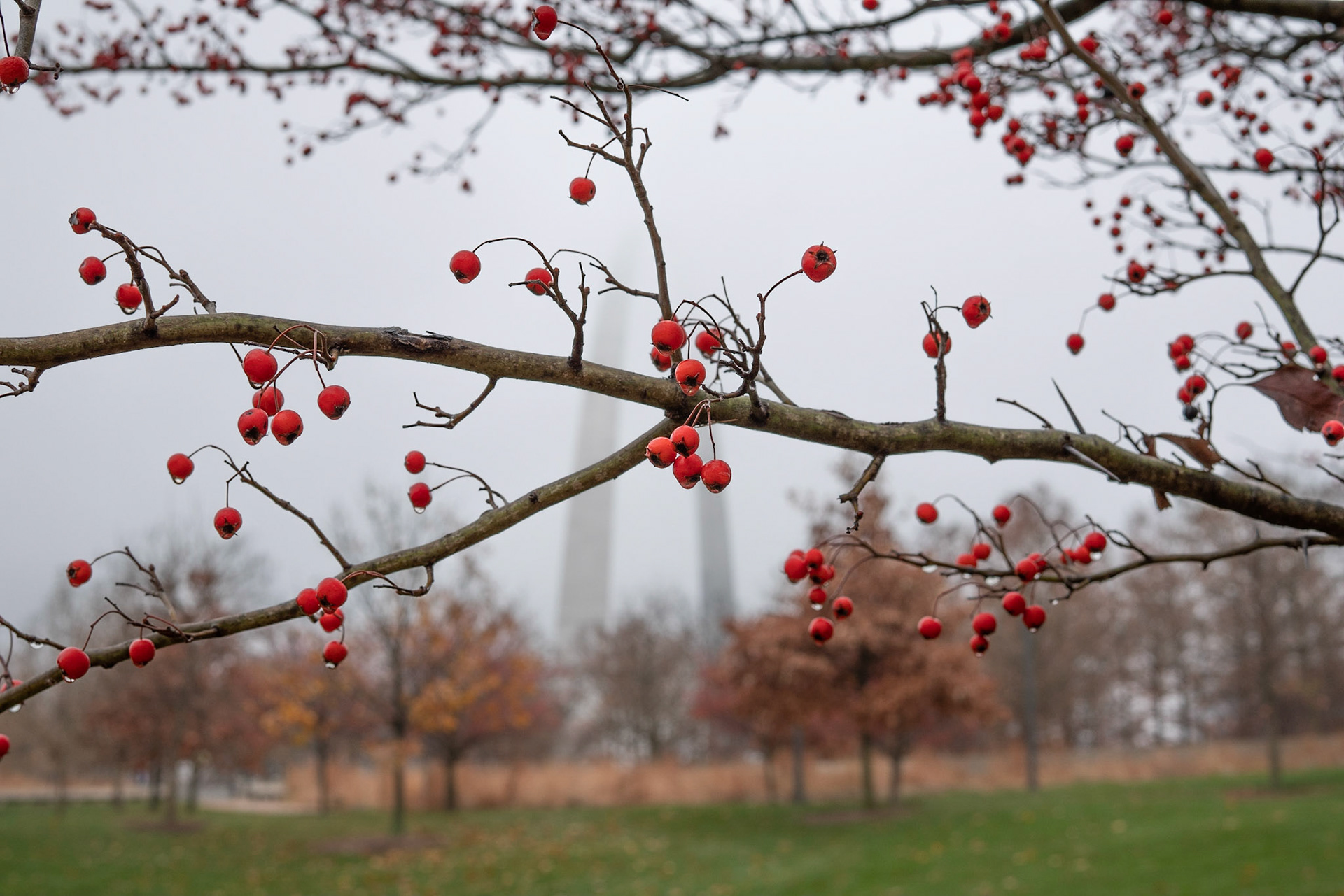 Gateway Arch National Park, St Louis MO - by Alison Northway 2021
