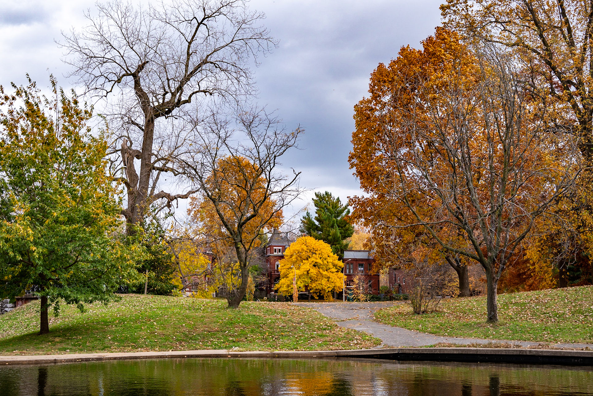 Benton Park, St Louis MO- by Alison Northway - 2021