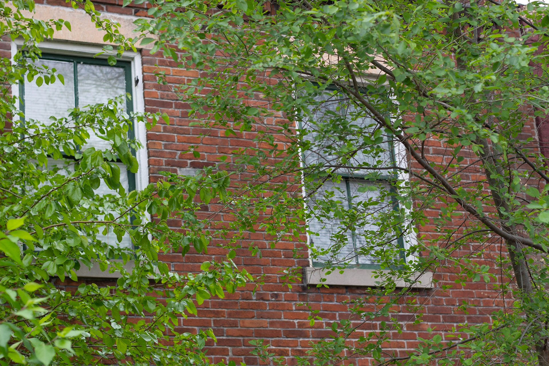 Soulard, St Louis MO - by Alison Northway - 2021