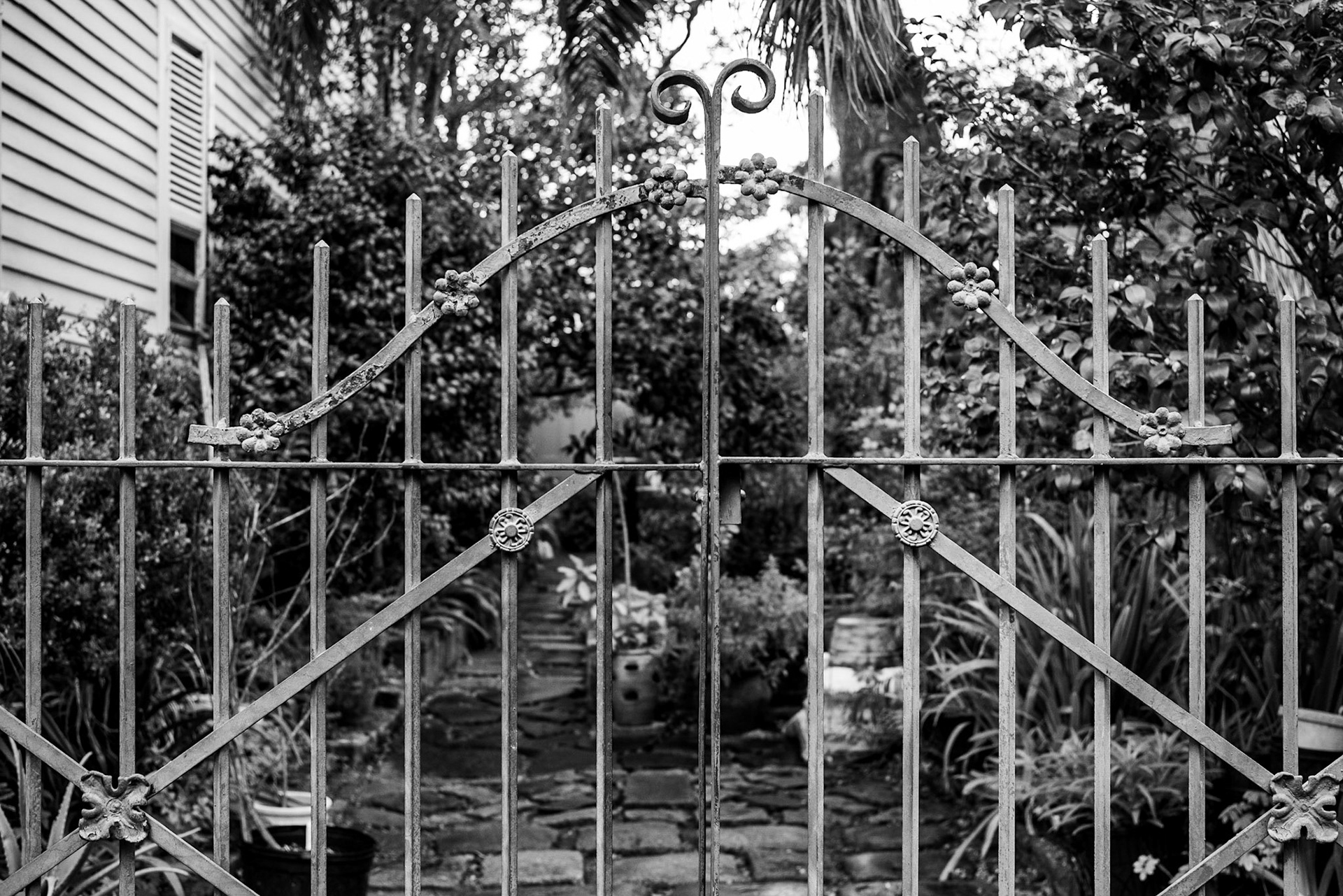 Garden District, New Orleans Louisiana - by Alison Northway - January 2022