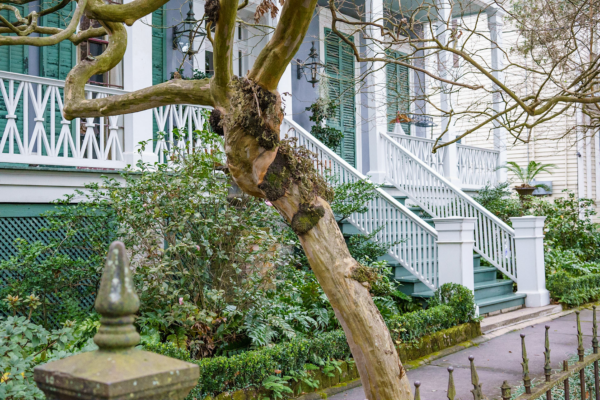 Garden District, New Orleans Louisiana - by Alison Northway - January 2022