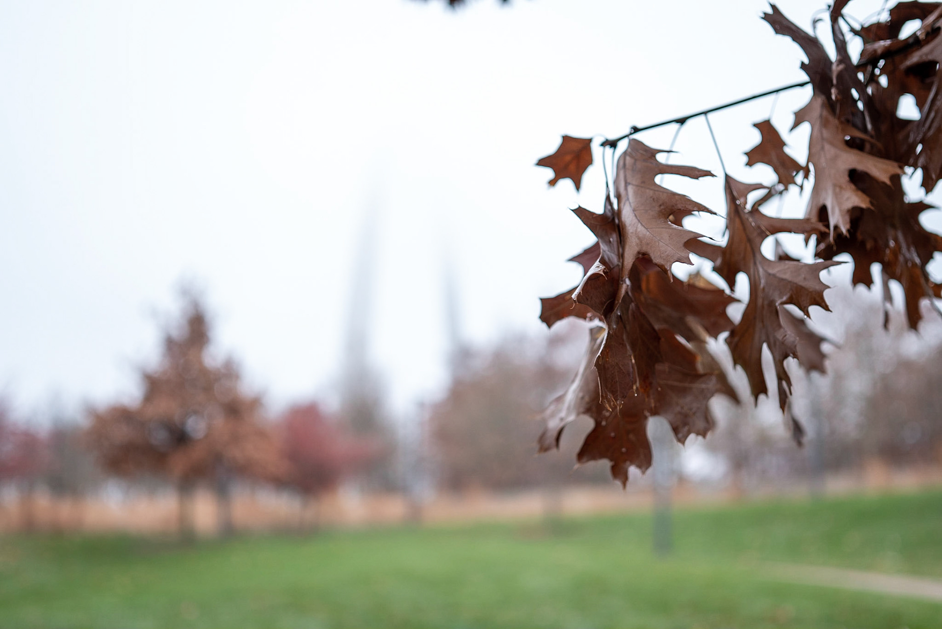Gateway Arch National Park, St Louis MO - by Alison Northway 2021