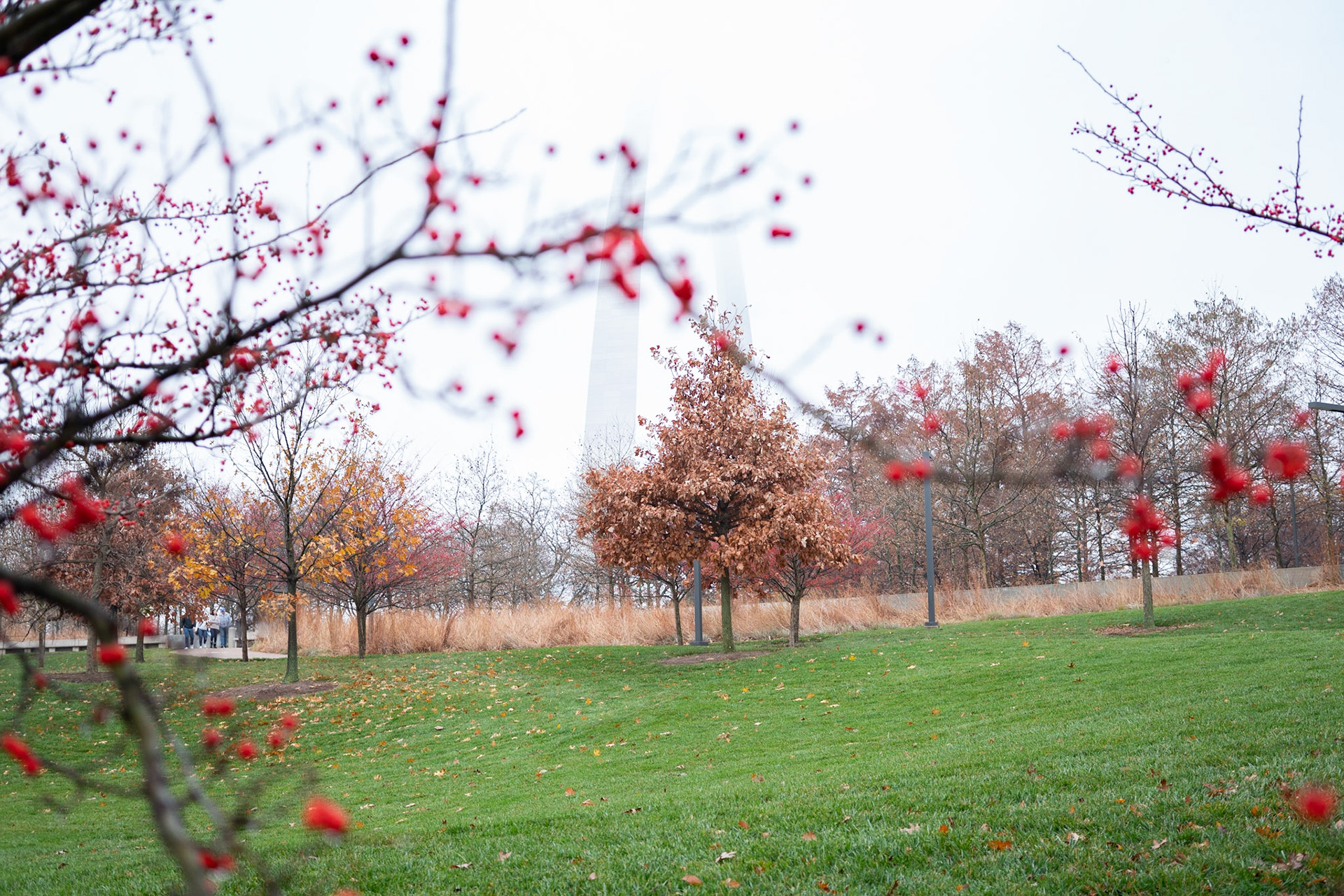 Gateway Arch National Park, St Louis MO - by Alison Northway 2021