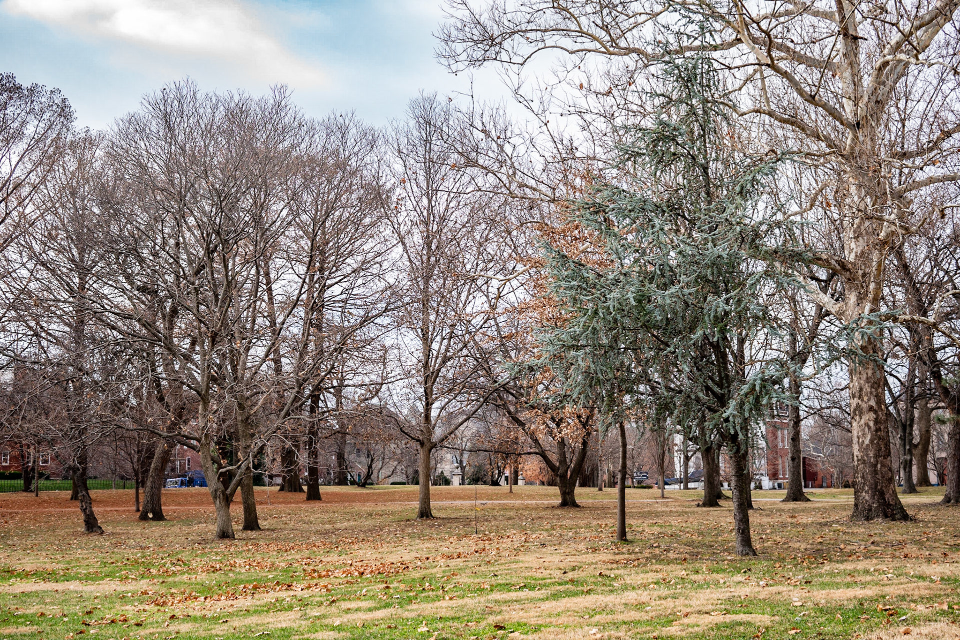 Lafayette Park, St Louis - Alison Northway 2021