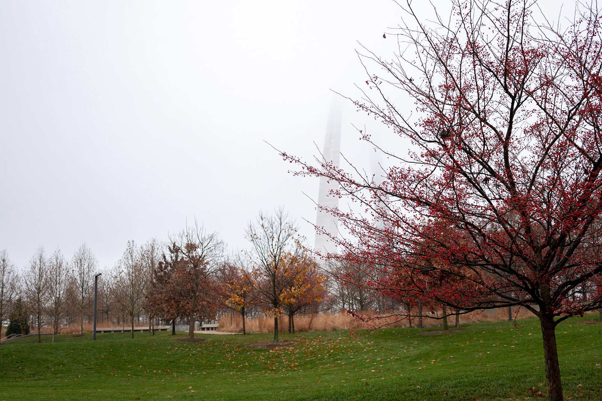 Gateway Arch National Park, St Louis MO - by Alison Northway 2021